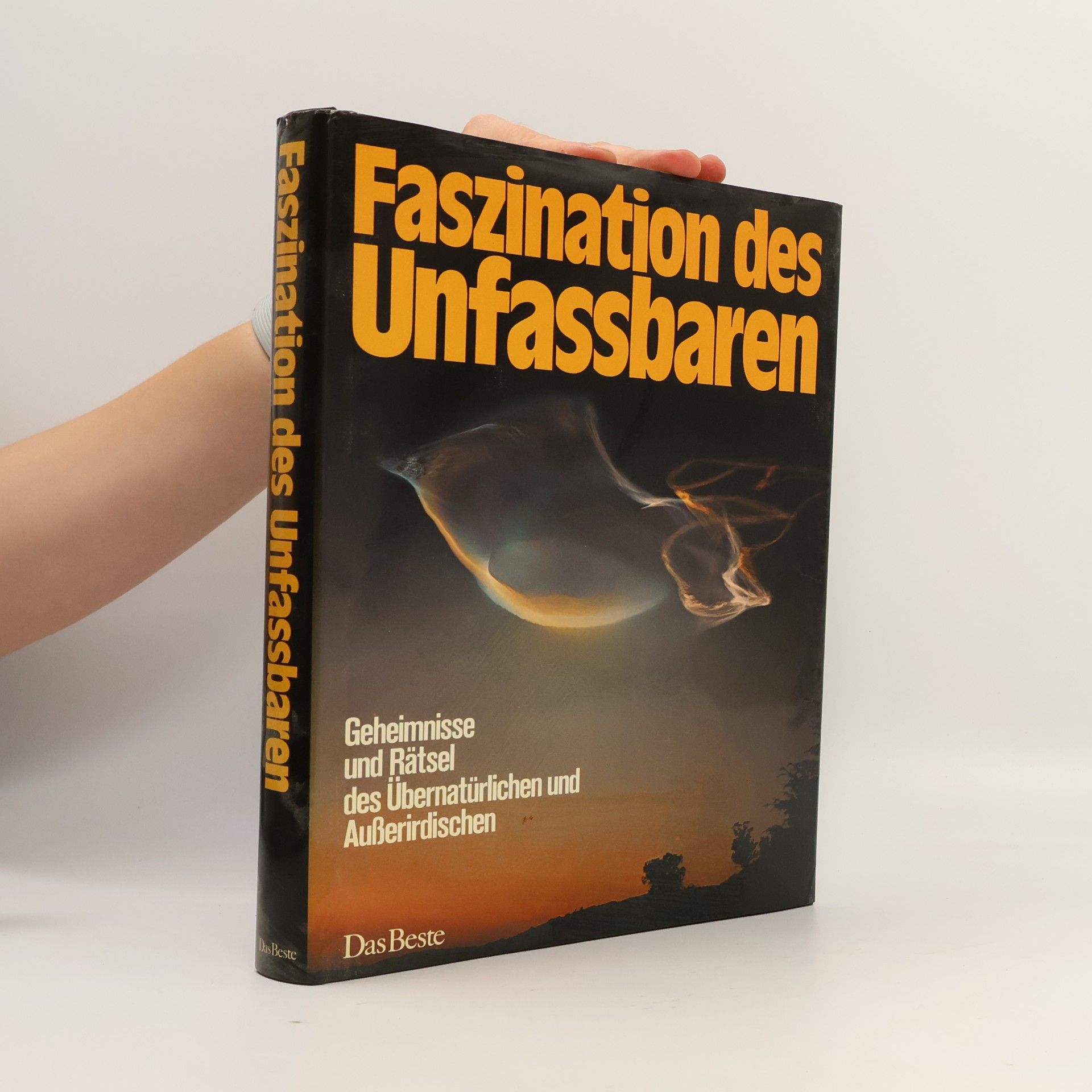 Ron Bailey Faszination des Unfassbaren