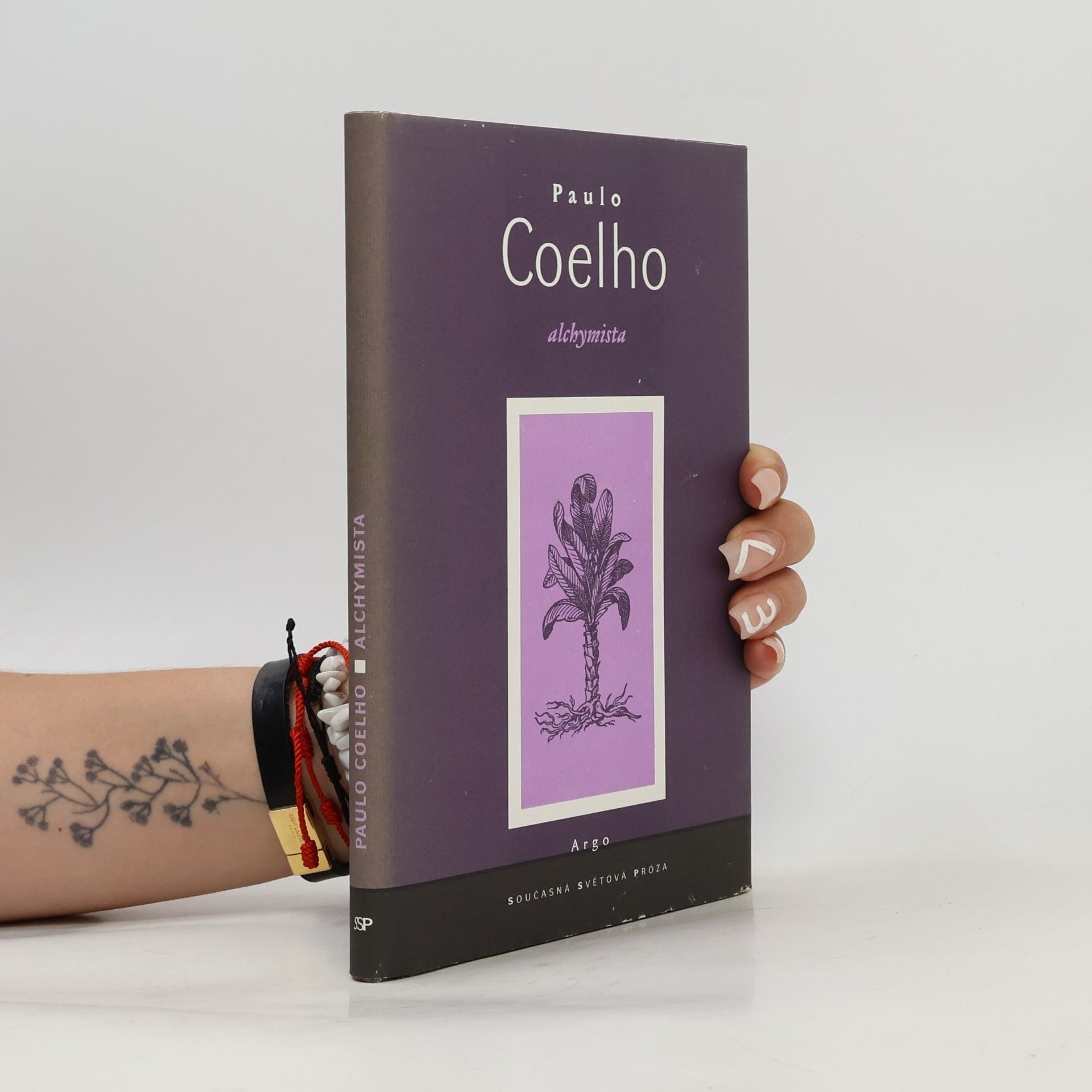 Paulo Coelho Alchymista