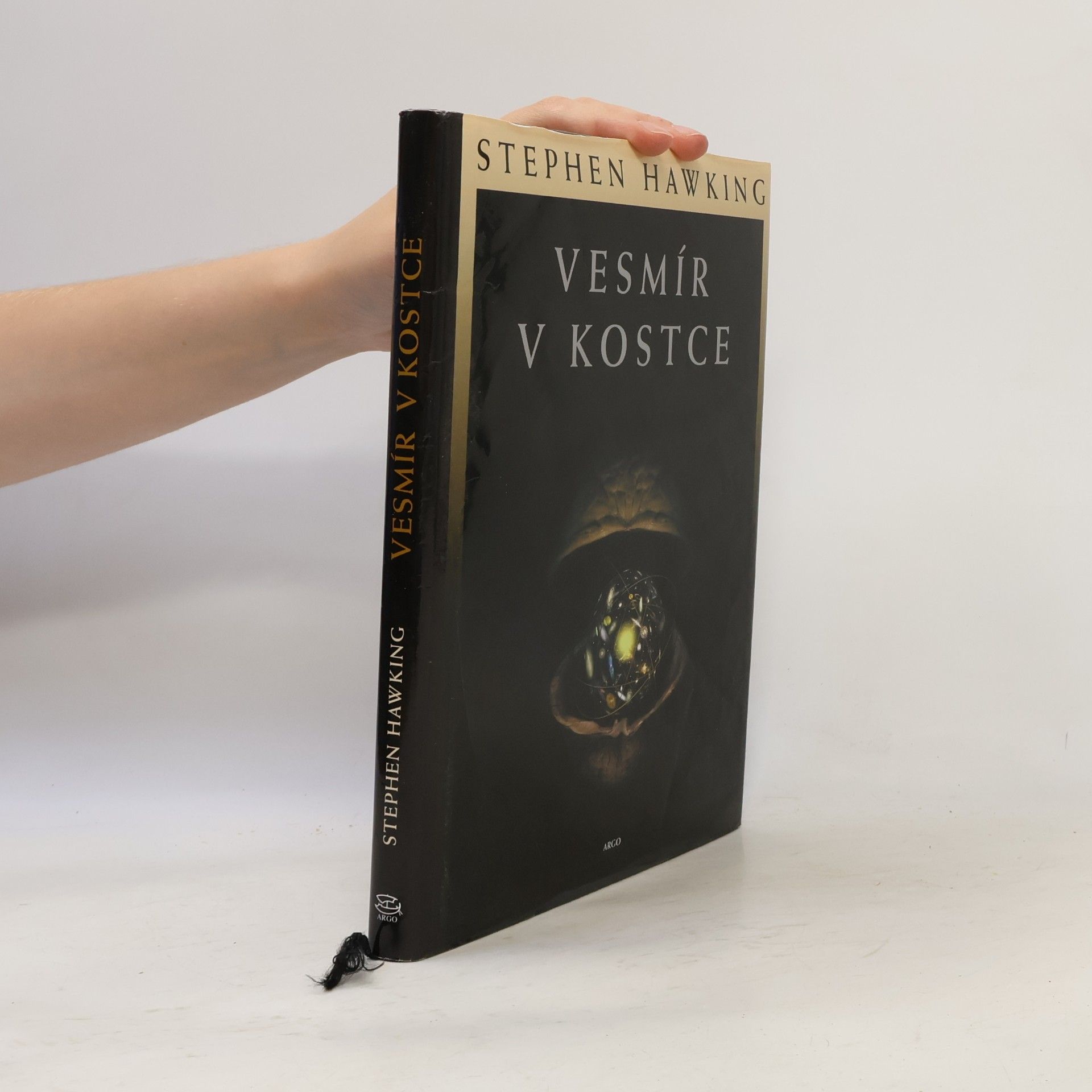 Stephen Hawking Vesmír v kostce