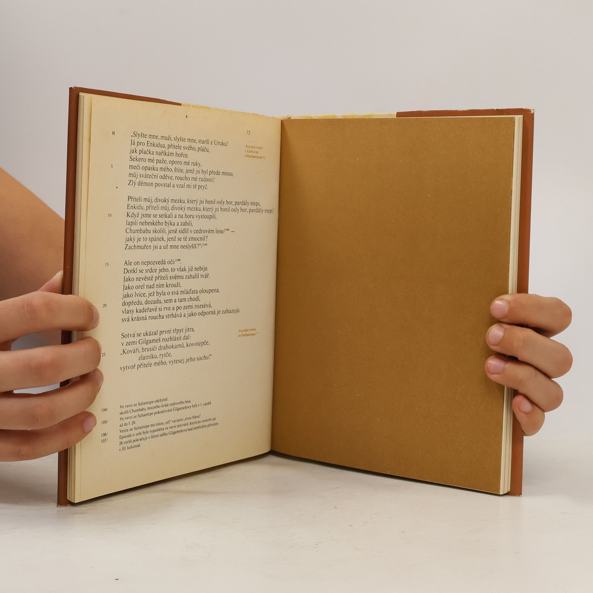 Autores varios Epos o Gilgamešovi