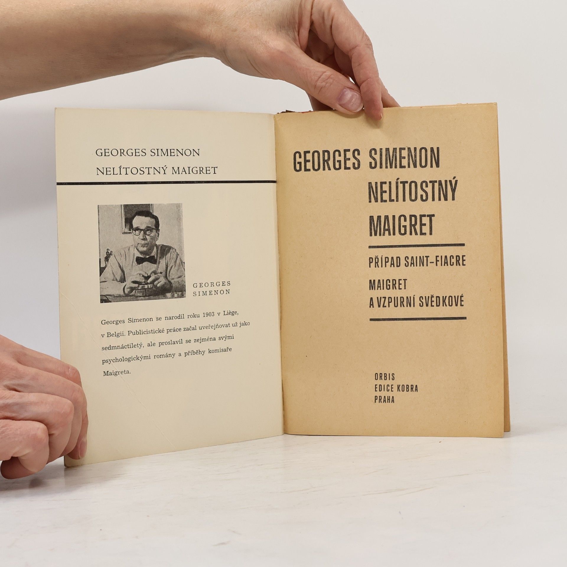 Georges Simenon Nelítostný Maigret