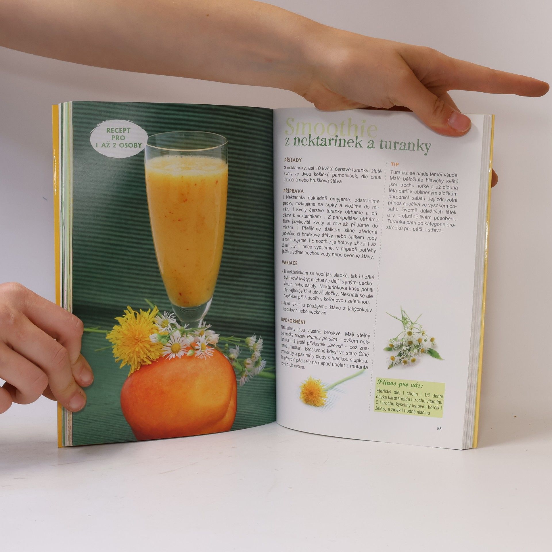 Siegrid Hirsch Nejlepší ovocná, zeleninová a bylinková smoothies