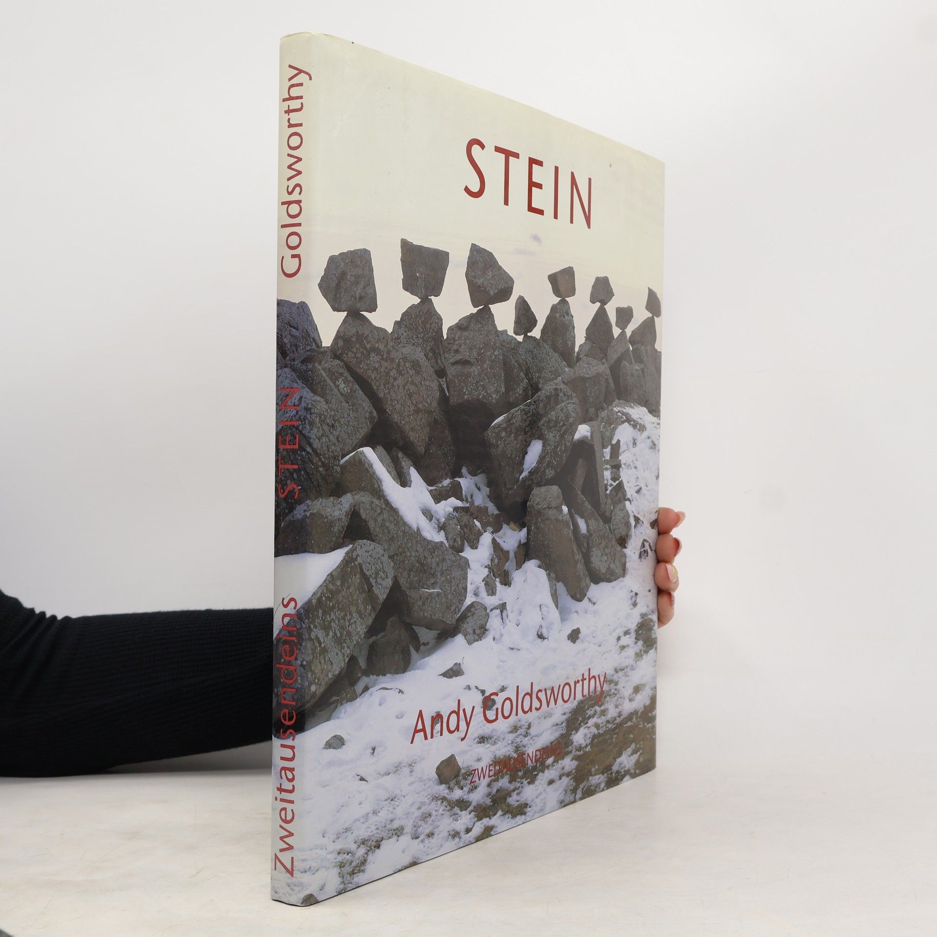 Andy Goldsworthy Stein