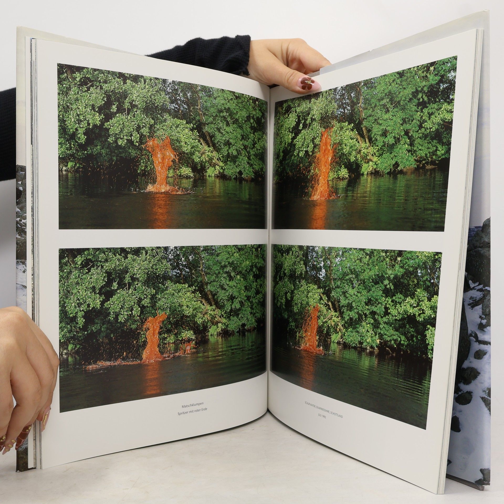 Andy Goldsworthy Stein