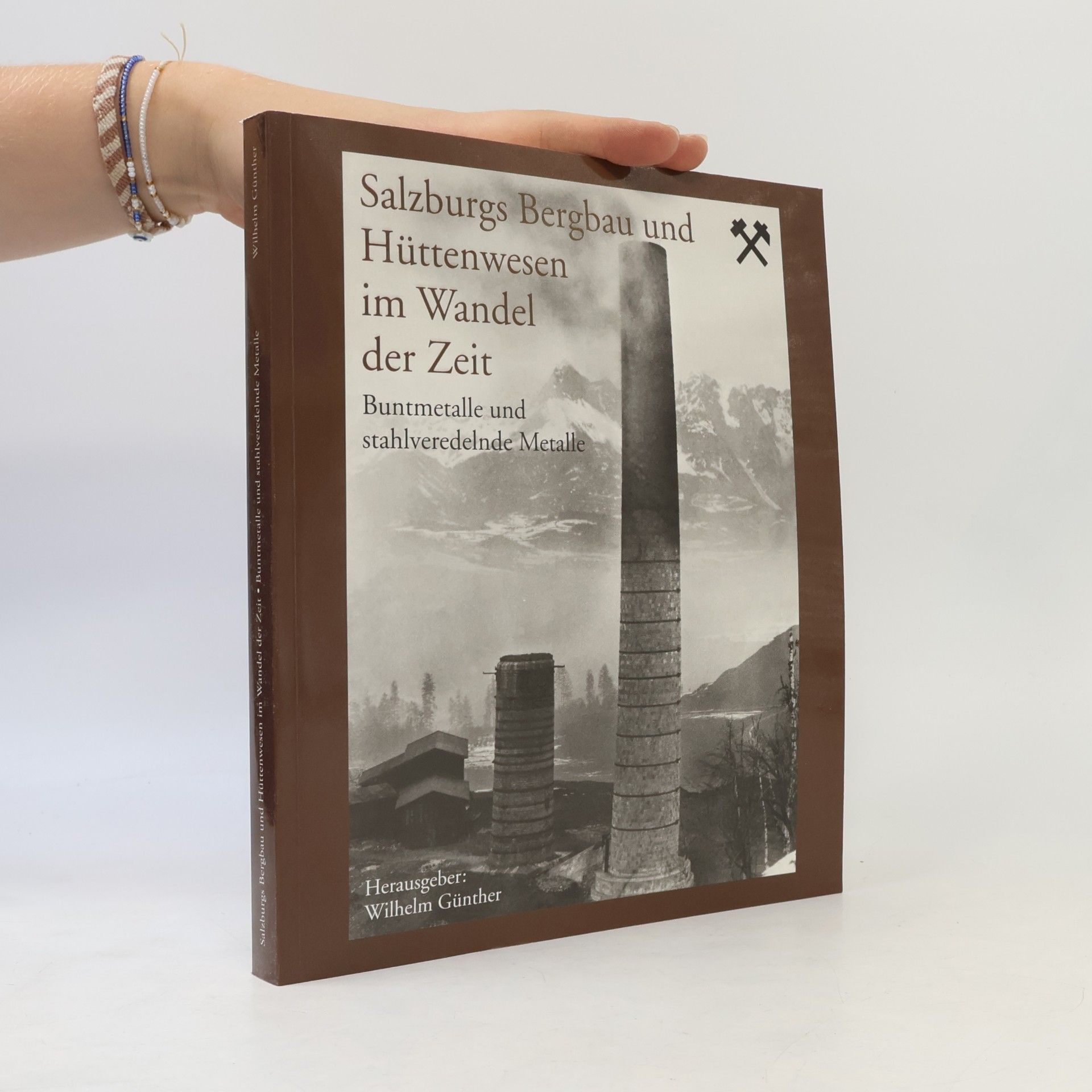 Salzburgs Bergbau und Hüttenwessen im Wandel der Zeit