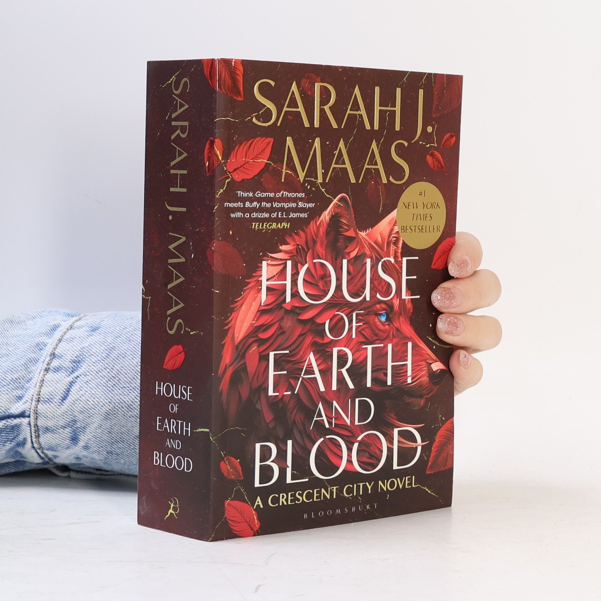 Sarah J. Maasová House of Earth and Blood