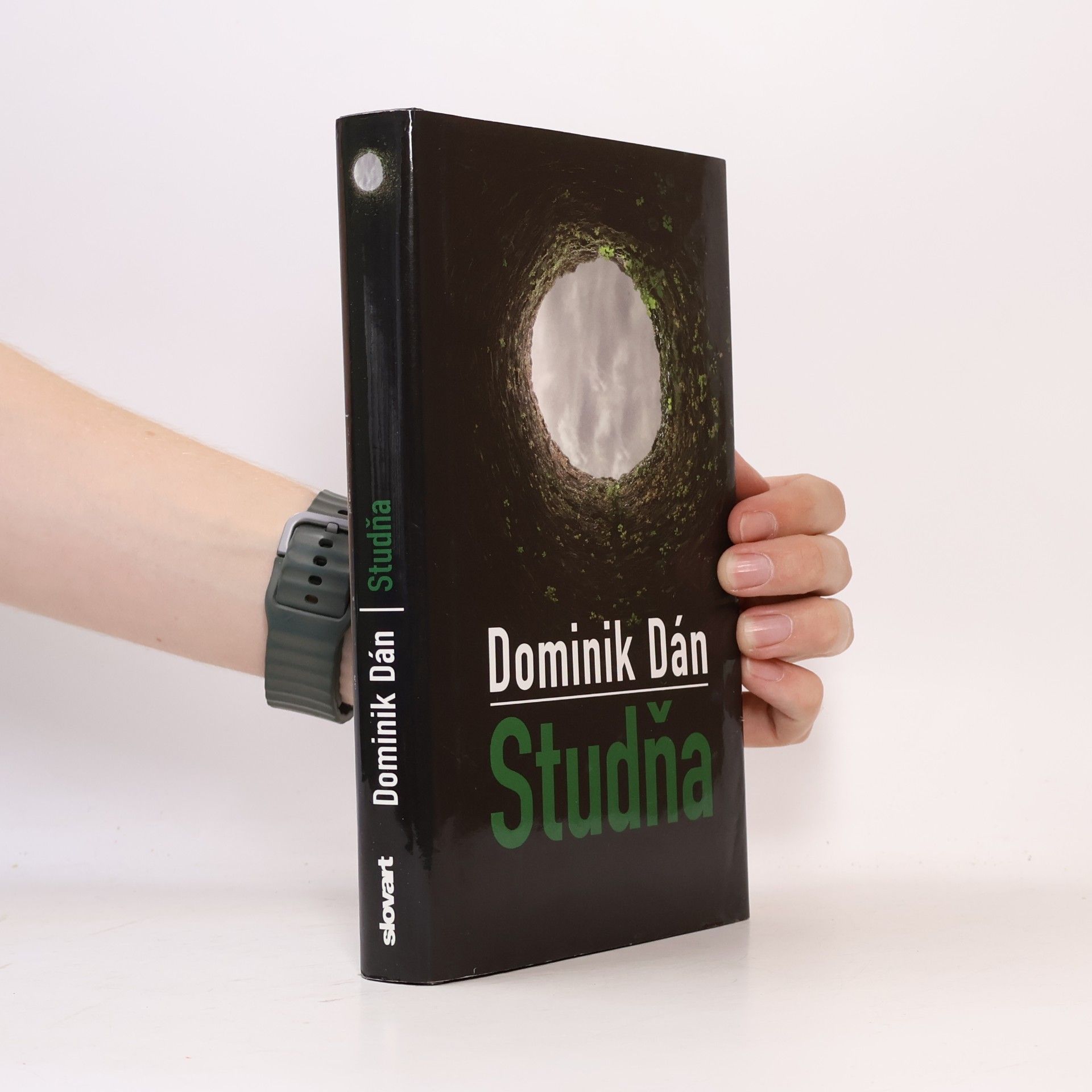 Dominik Dán Studňa