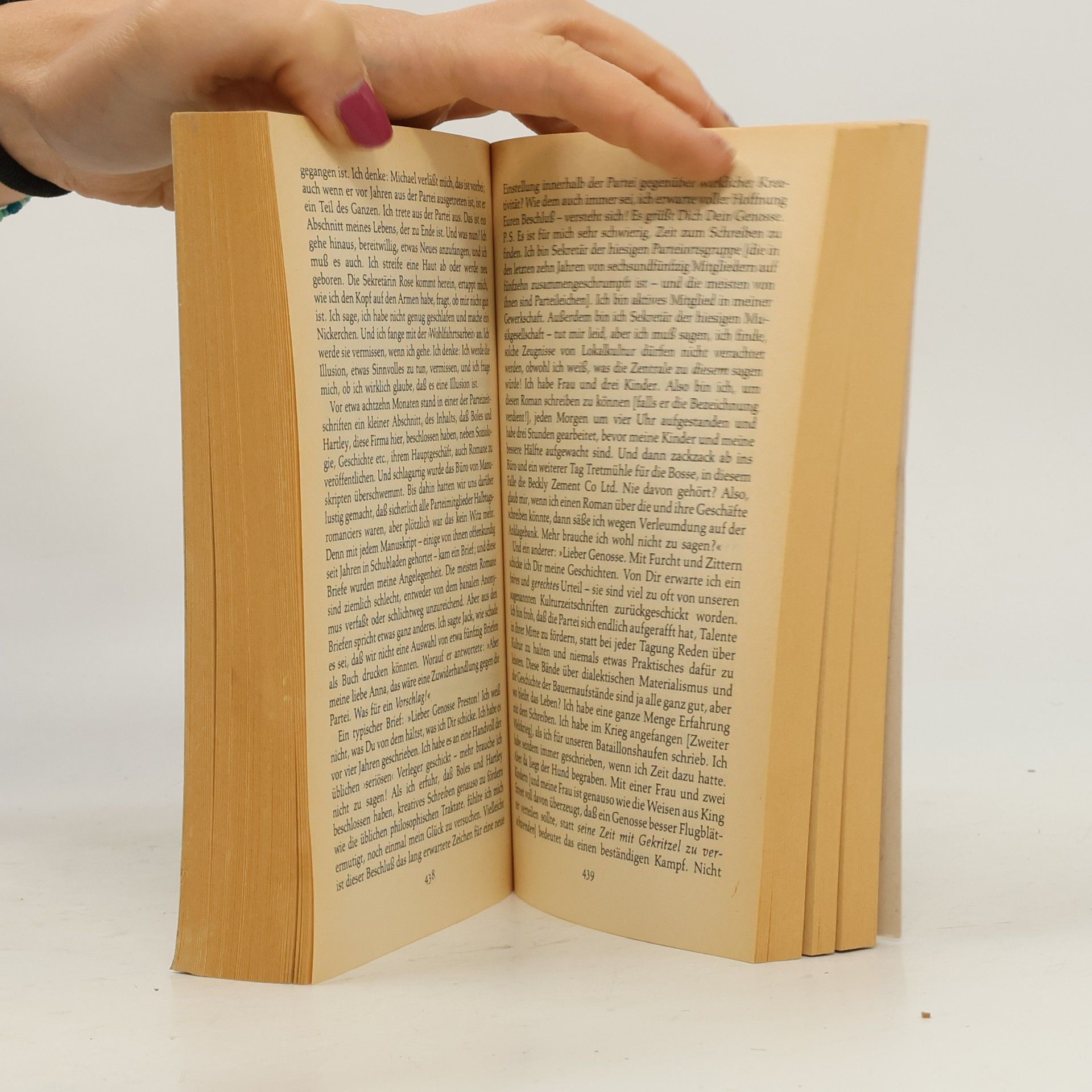 Doris Lessing Das goldene Notizbuch