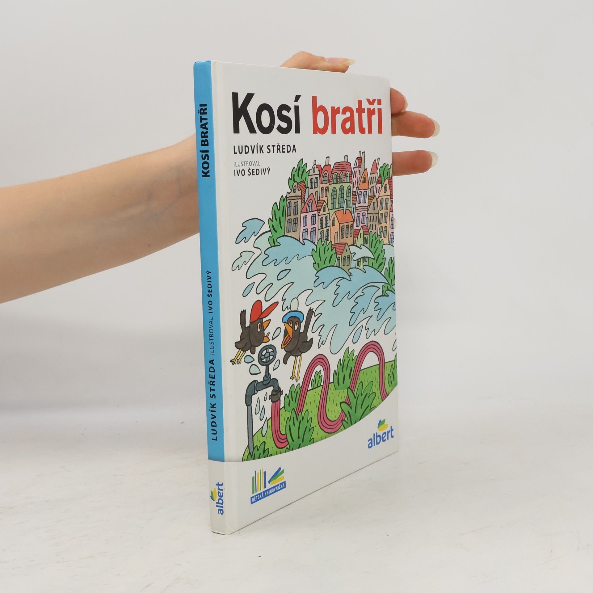 Ludvík Středa Kosí bratři