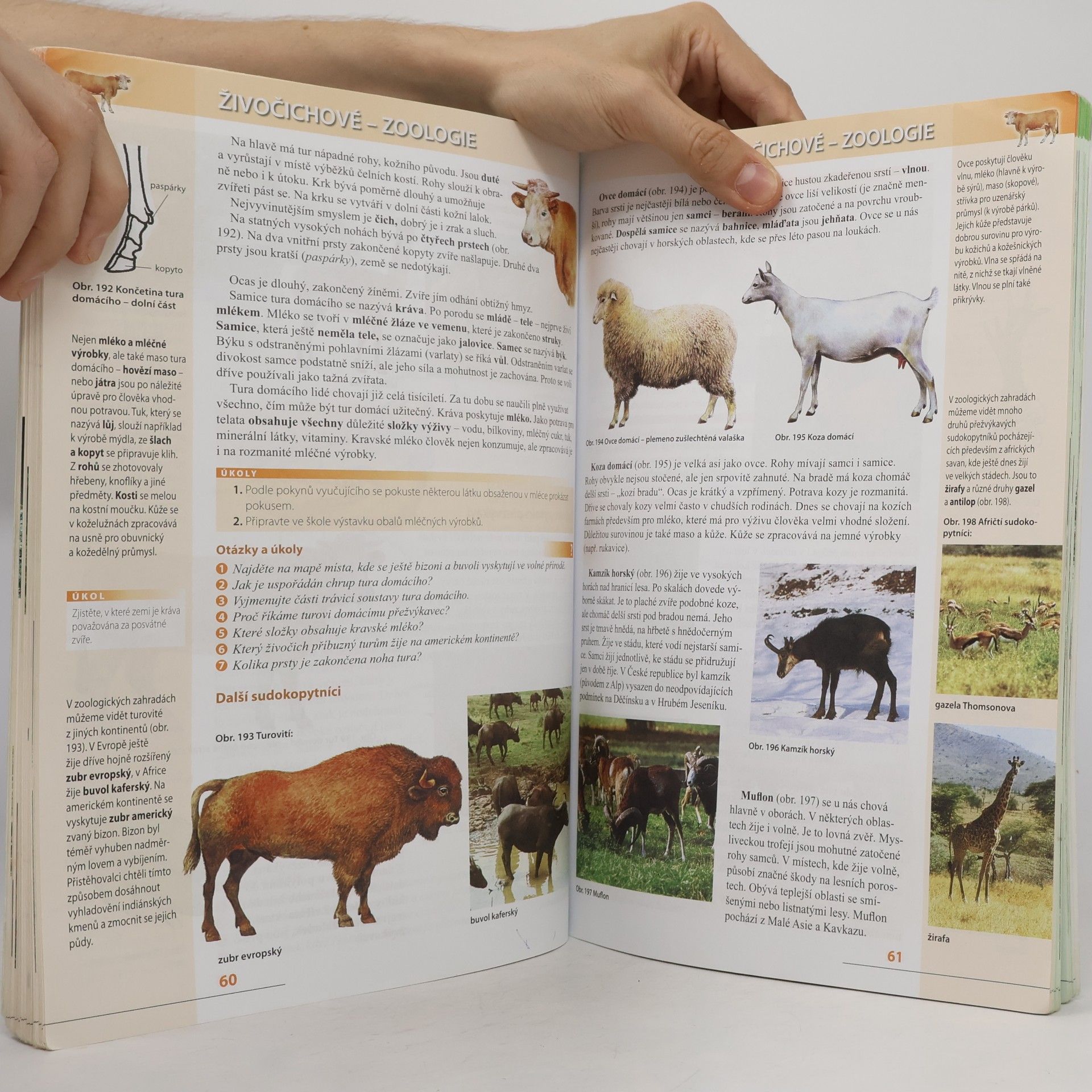 Vladimír Černík Přírodopis 7 : zoologie a botanika pro základní školy