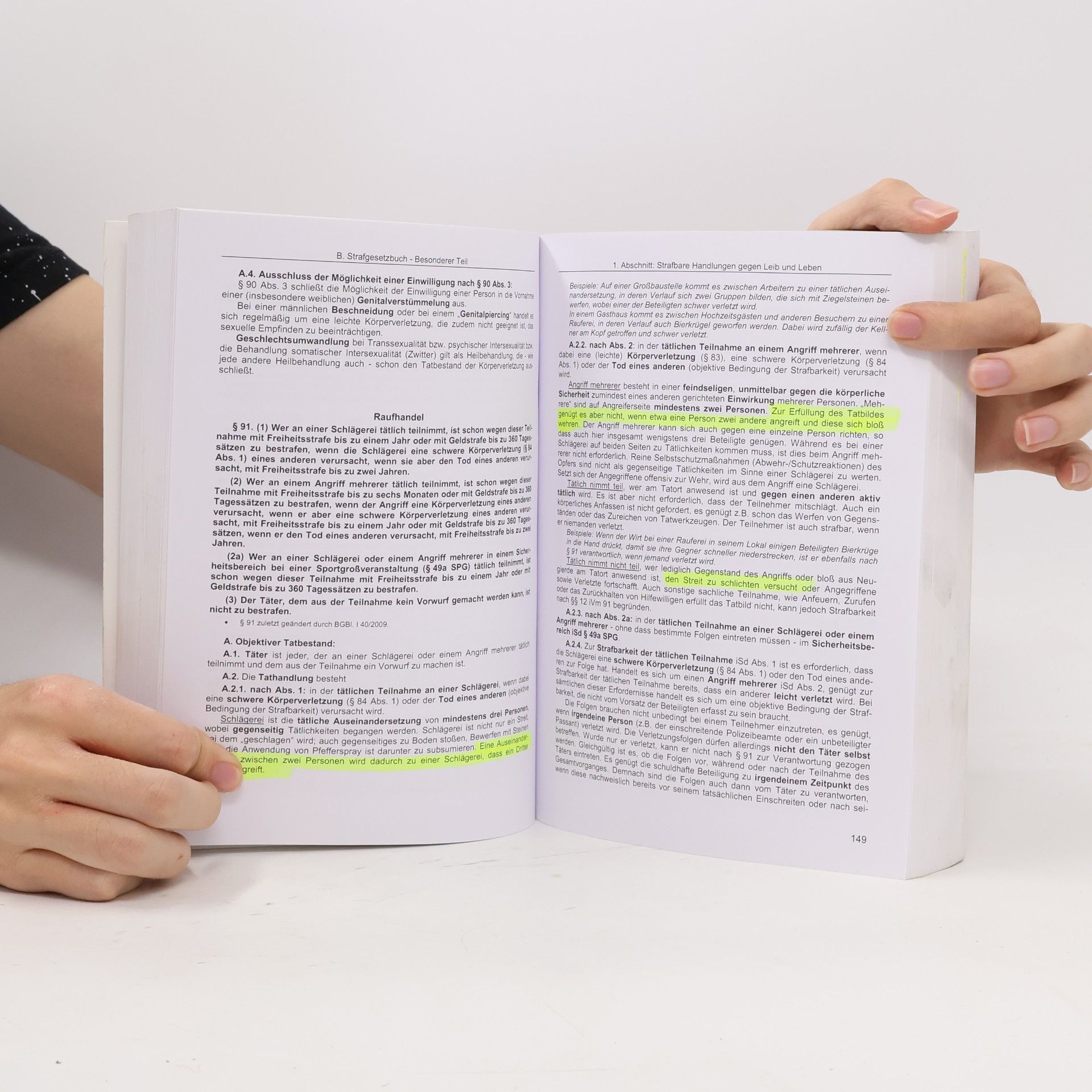 Michael Beyrer Strafgesetzbuch