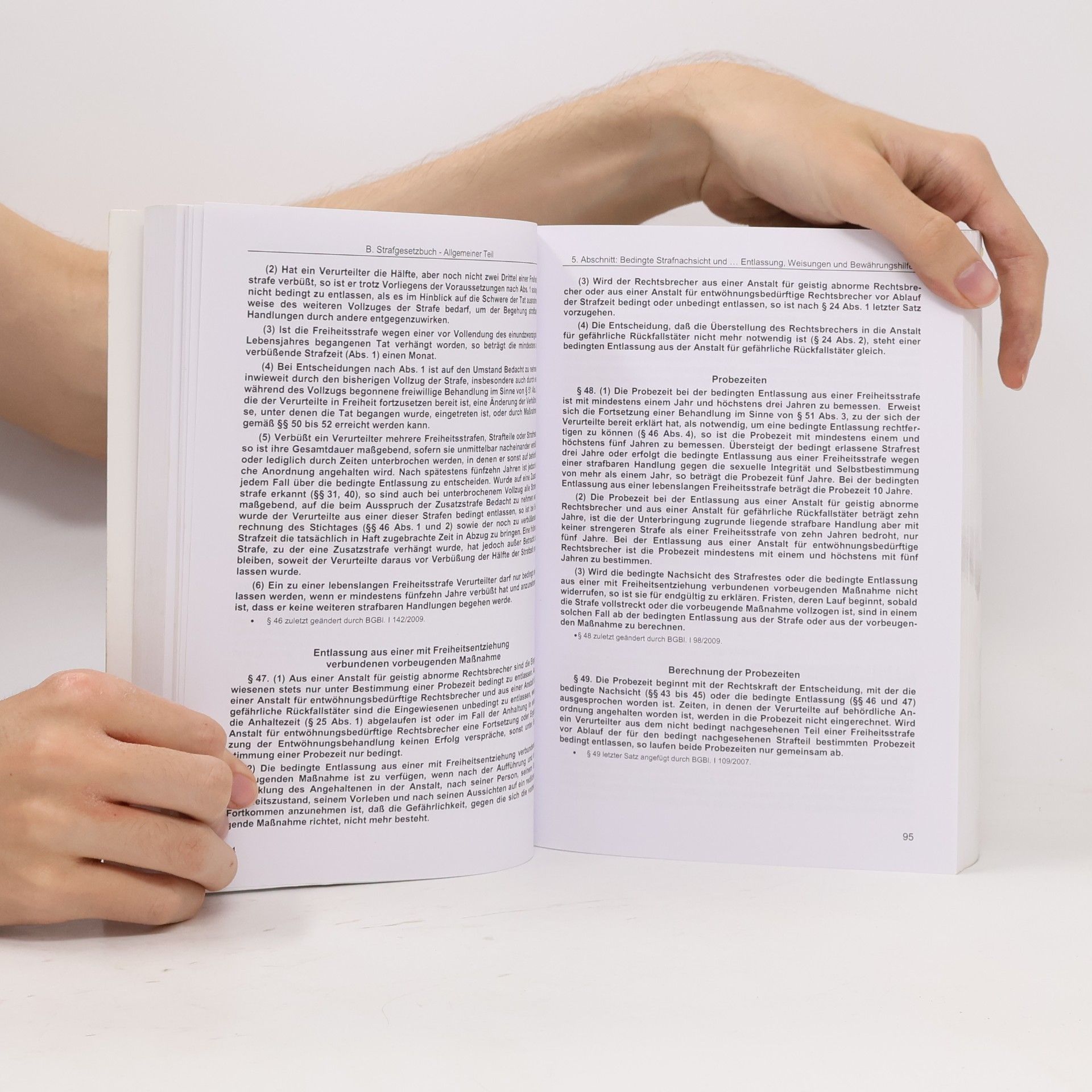 Michael Beyrer Strafgesetzbuch