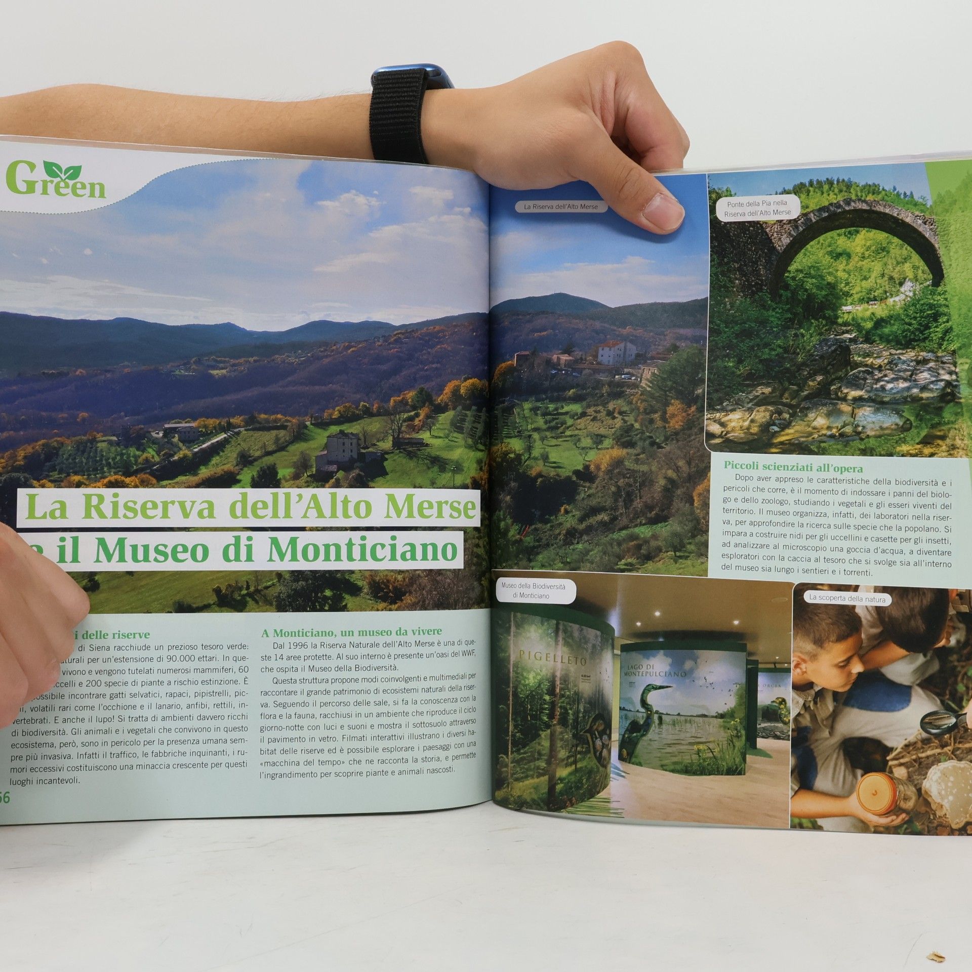Lorenzo Giudici Generazione green