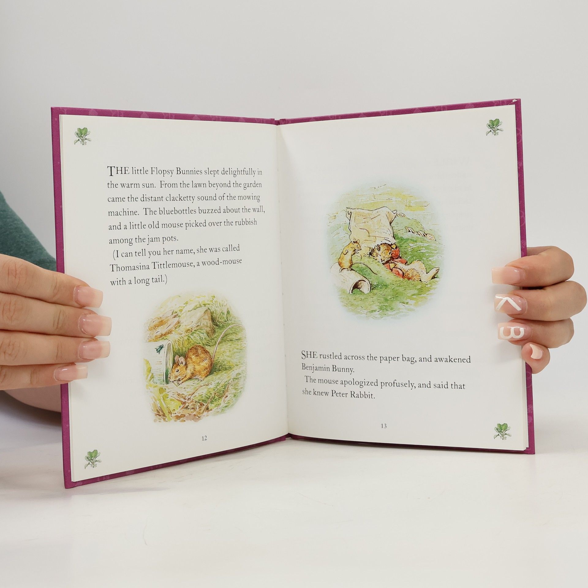 Beatrix Potter The Tale of the Flopsy Bunnies