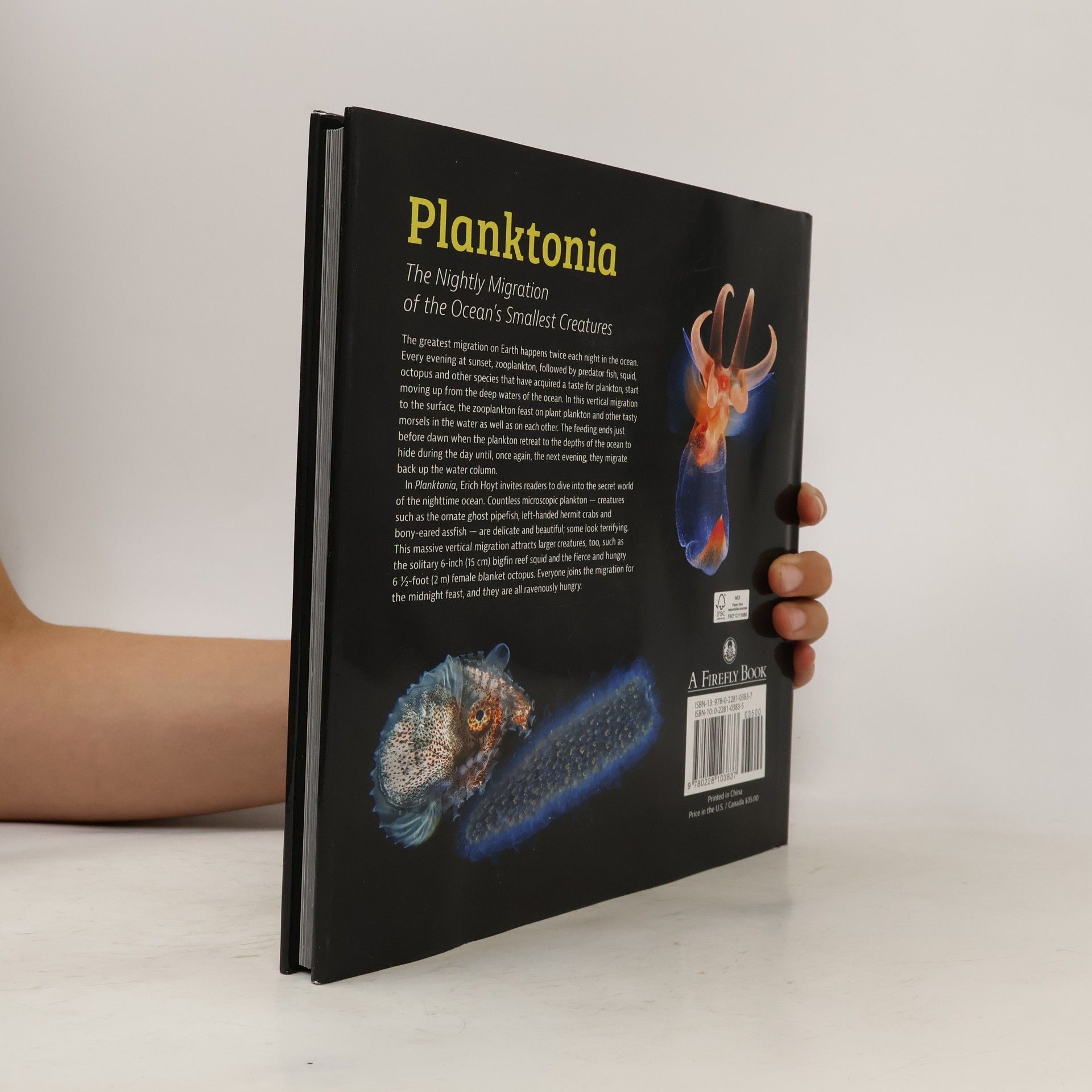 Erich Hoyt Planktonia