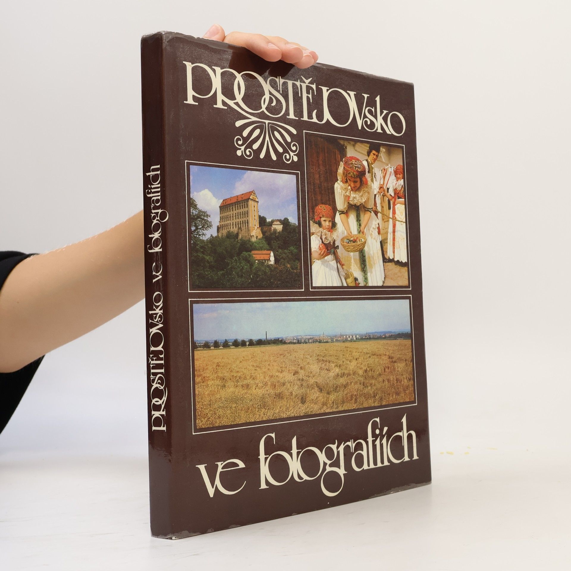 Autores varios Prostějovsko ve fotografiích