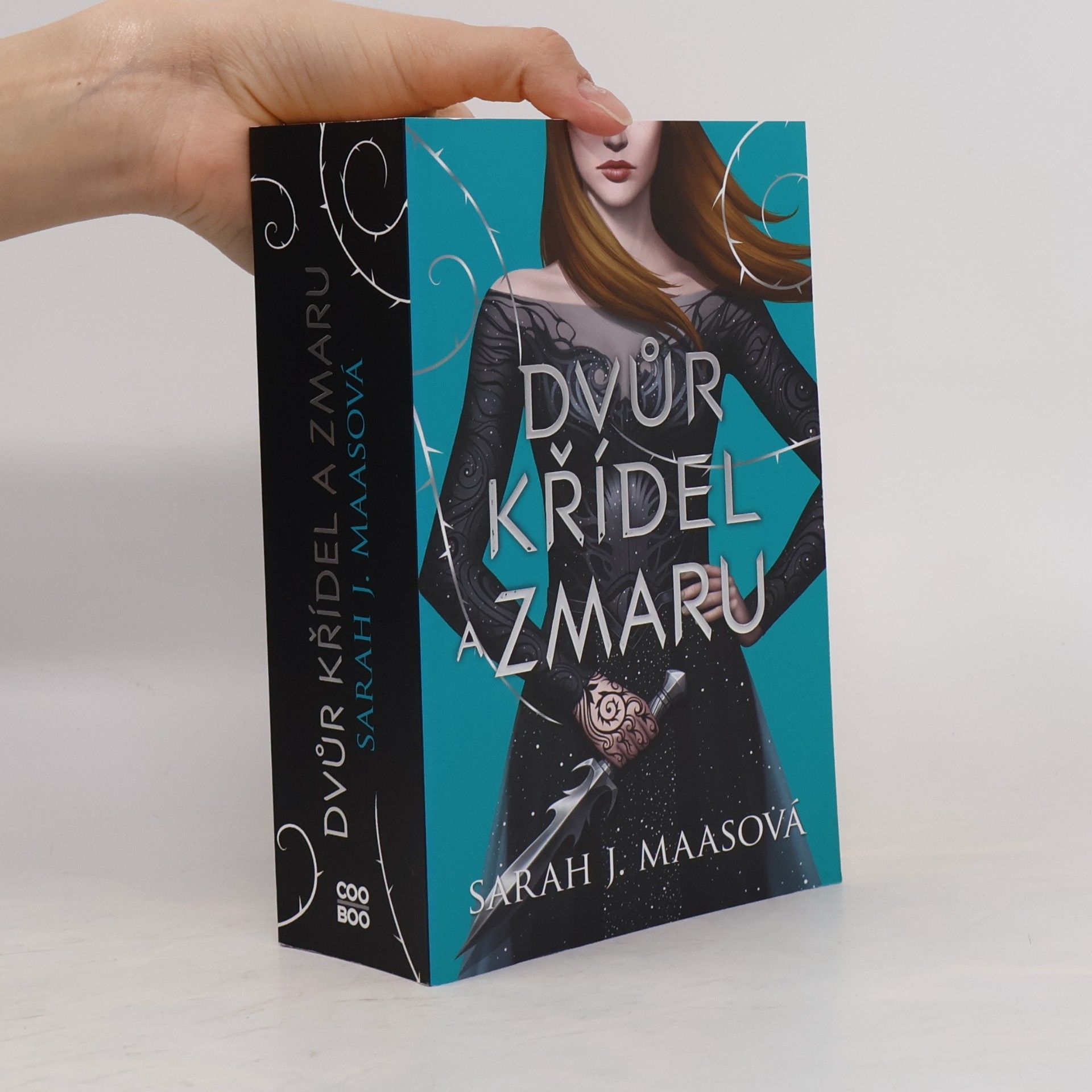 Sarah J. Maasová Dvůr křídel a zmaru