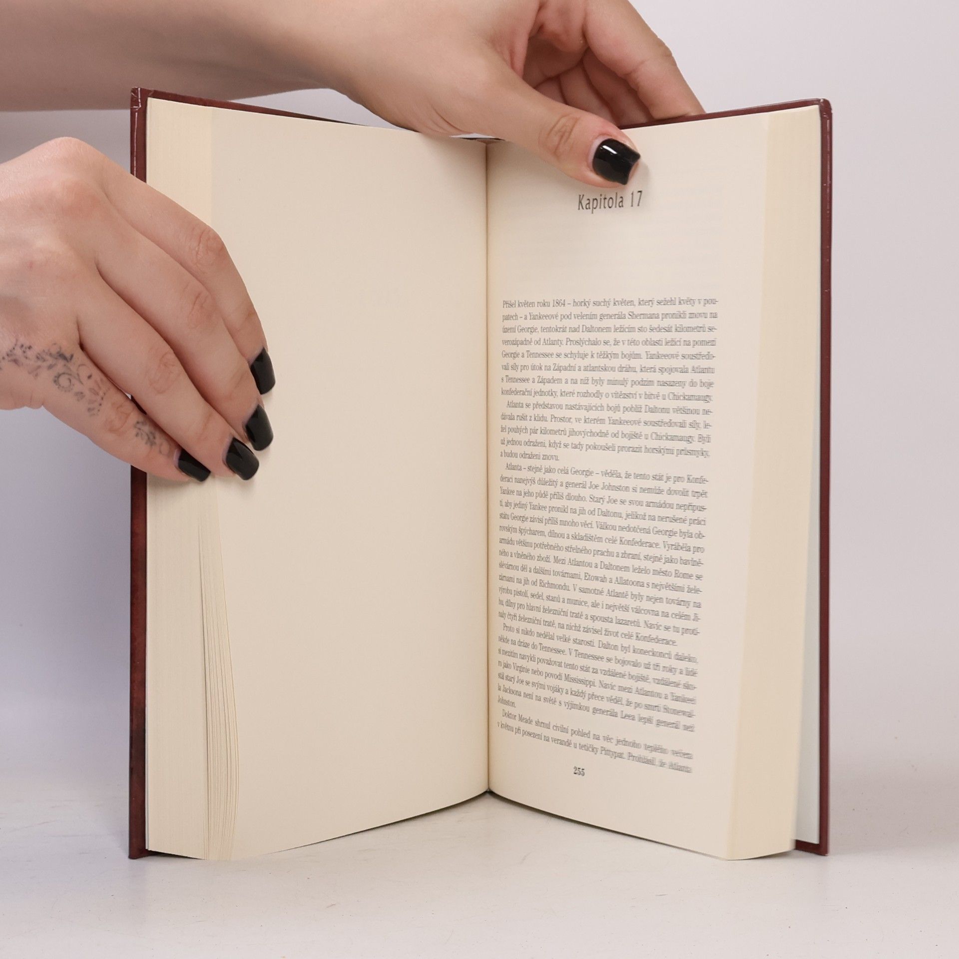 Margaret Mitchell Jih proti Severu. 1
