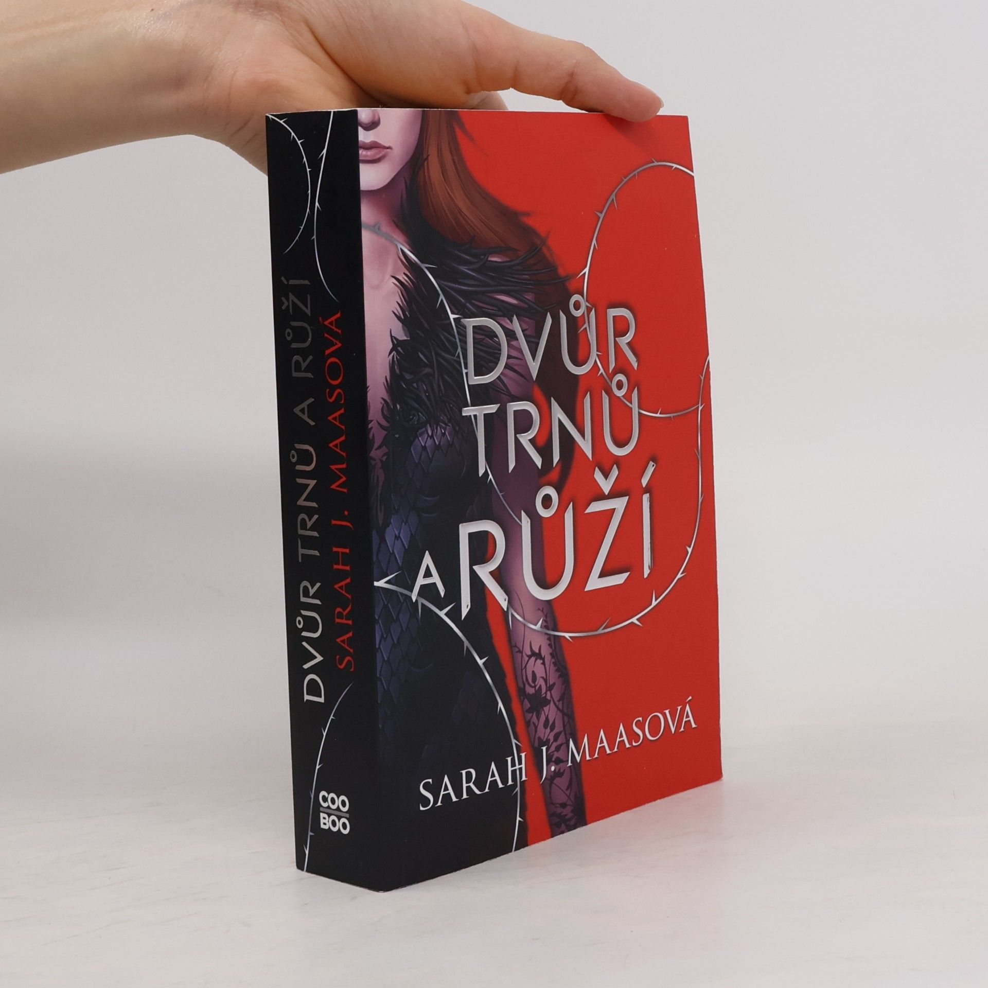 Sarah J. Maas Dvůr trnů a růží