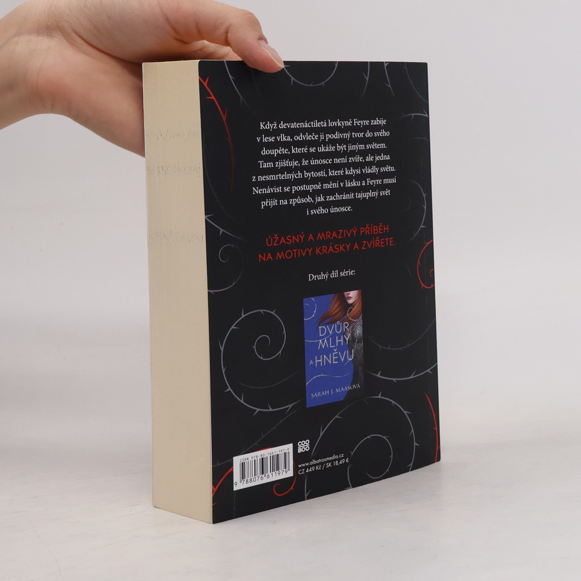 Sarah J. Maas Dvůr trnů a růží