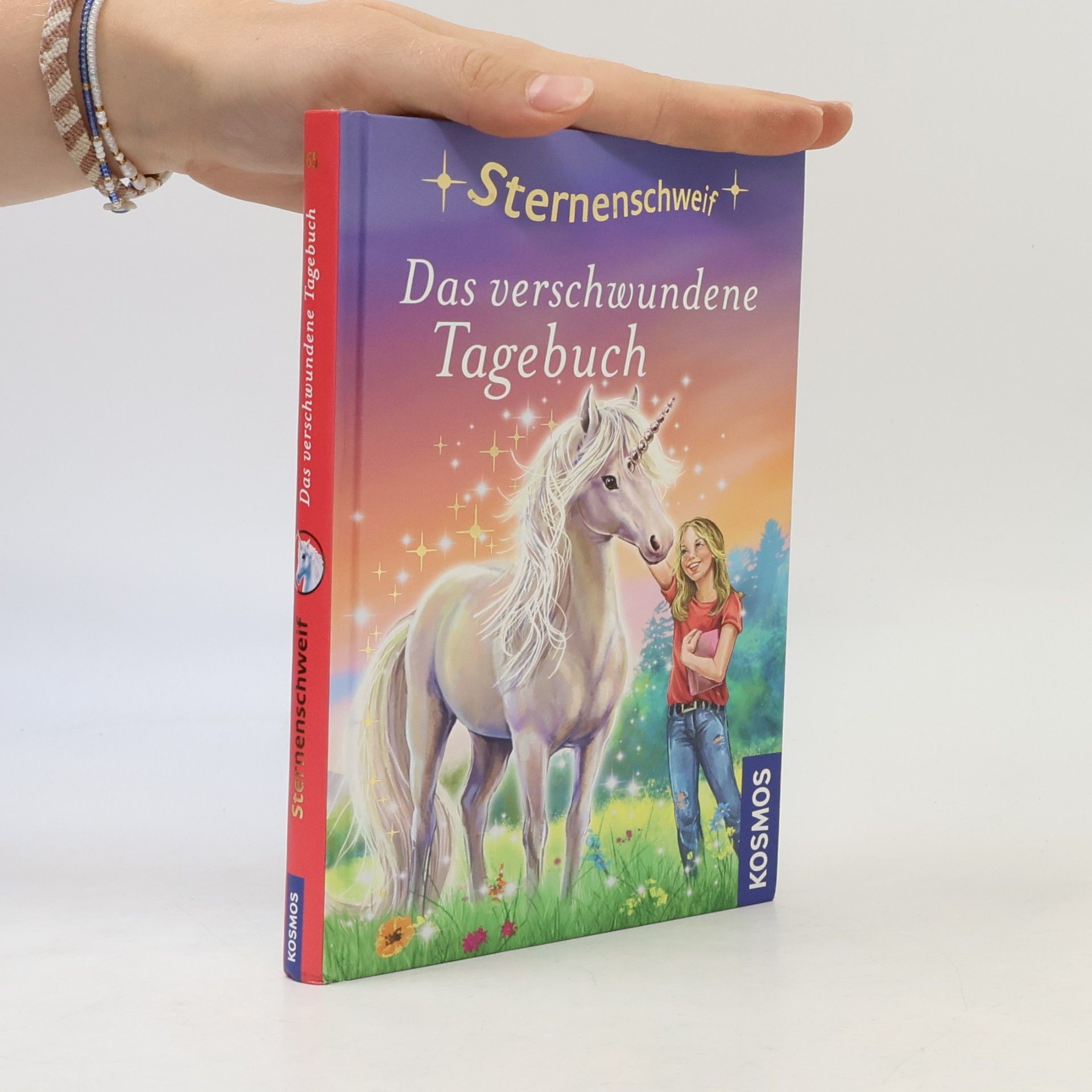 Anne Scheller Das verschwundene Tagebuch