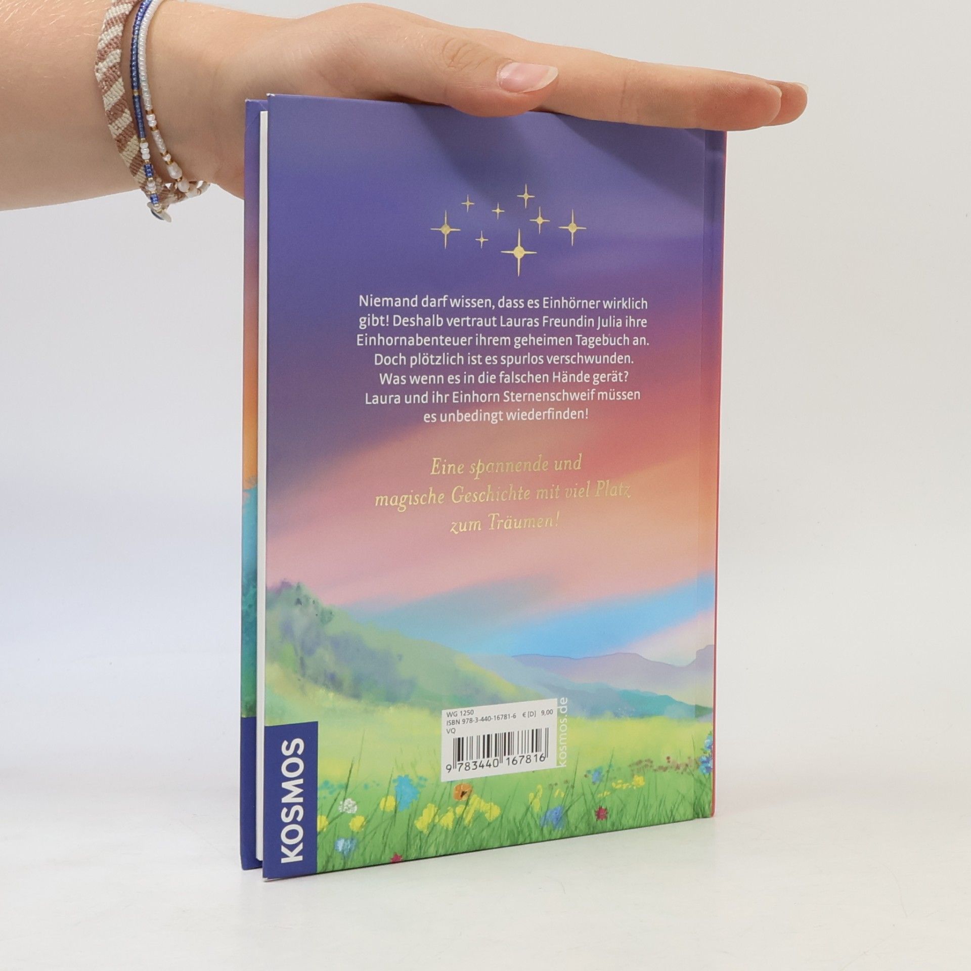 Anne Scheller Das verschwundene Tagebuch