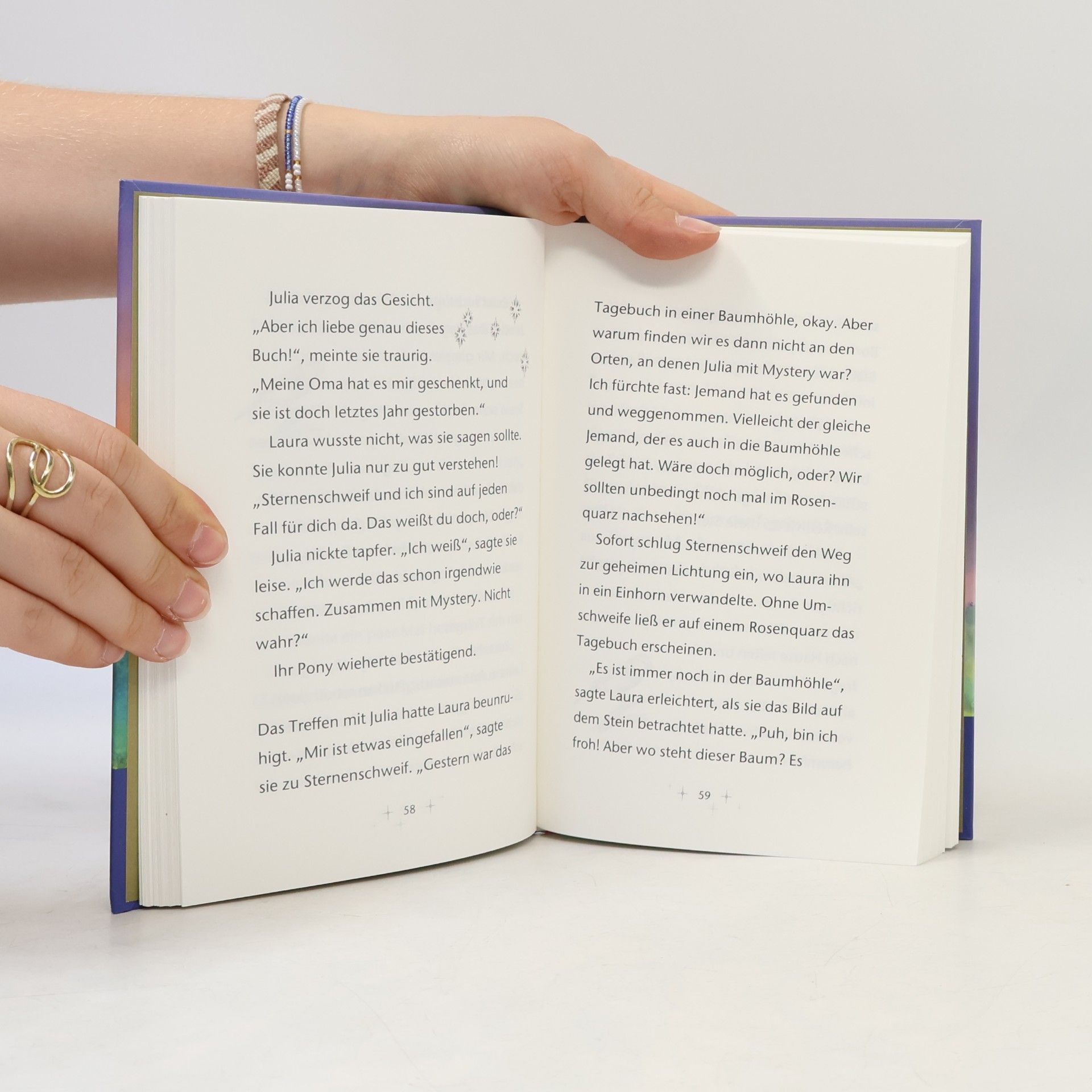 Anne Scheller Das verschwundene Tagebuch