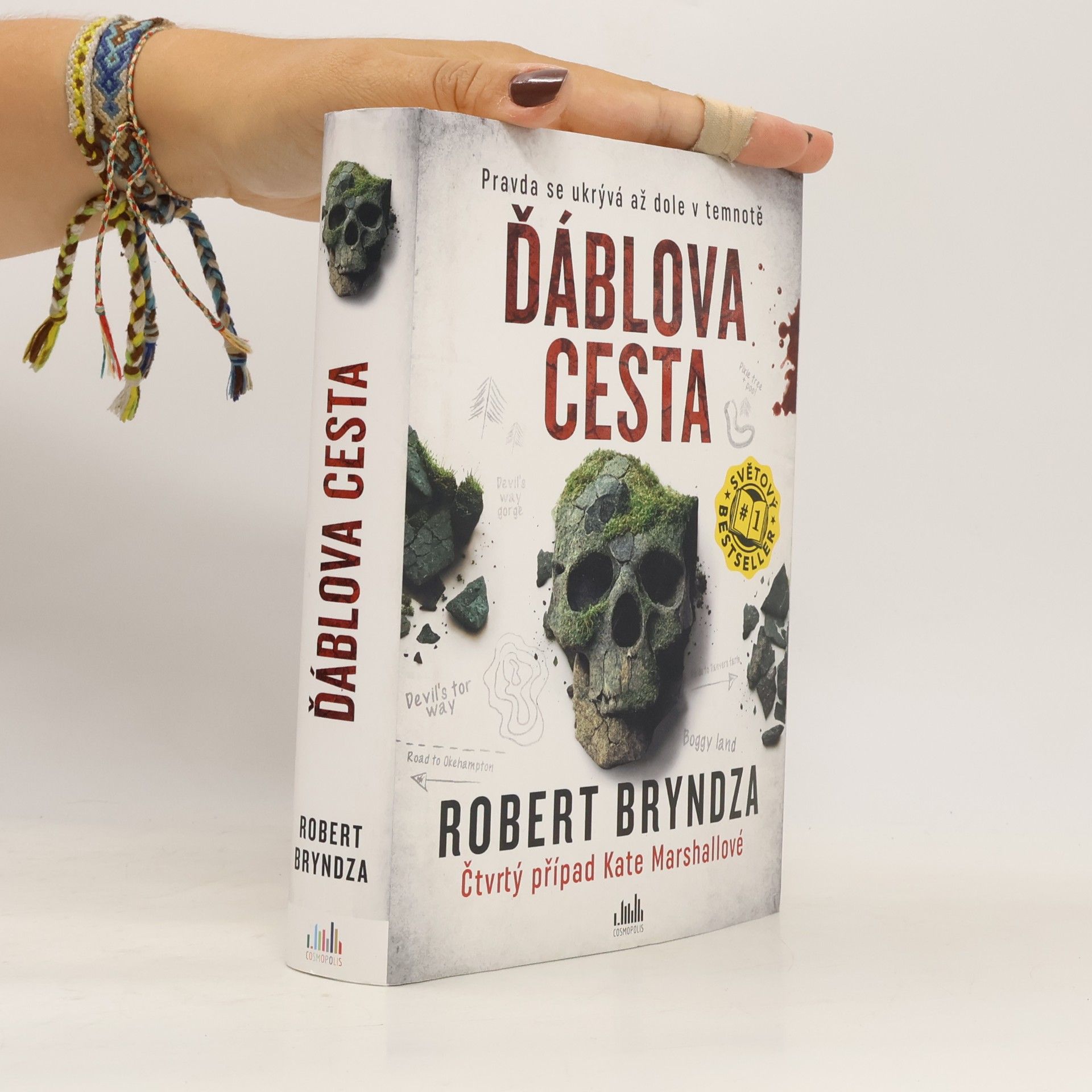 Robert Bryndza Ďáblova cesta