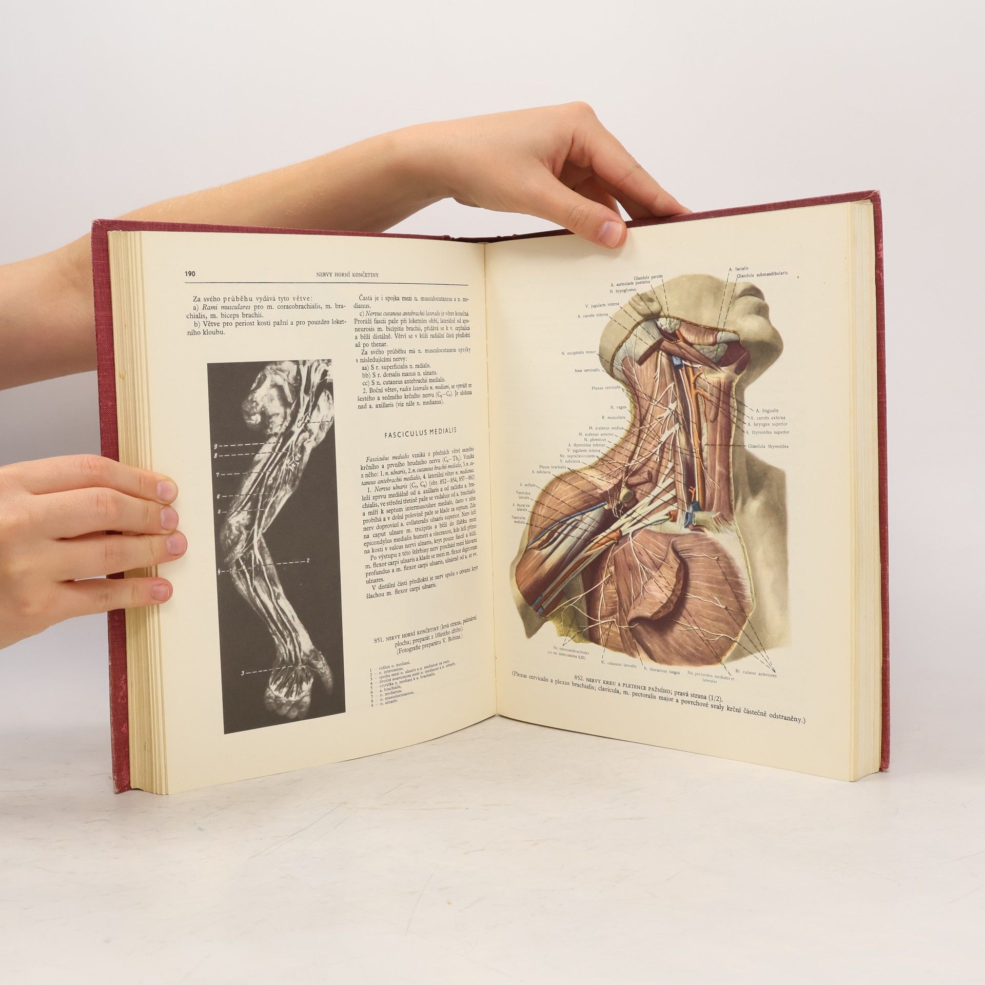 Rafail Davidovič Sinělnikov Atlas anatomie člověka III.