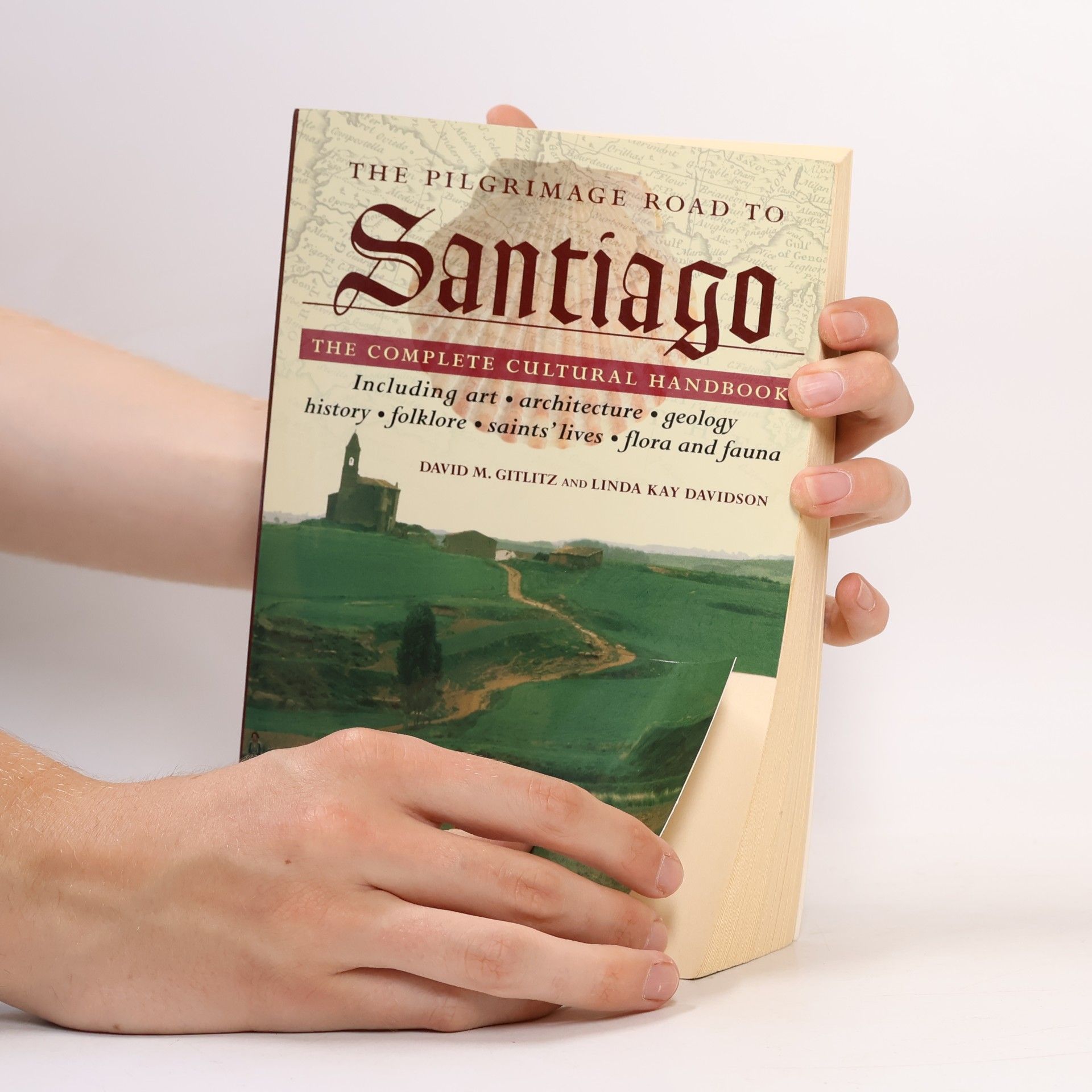 Linda Kay Davidson The Pilgrimage Road to Santiago: The Complete Cultural Handbook