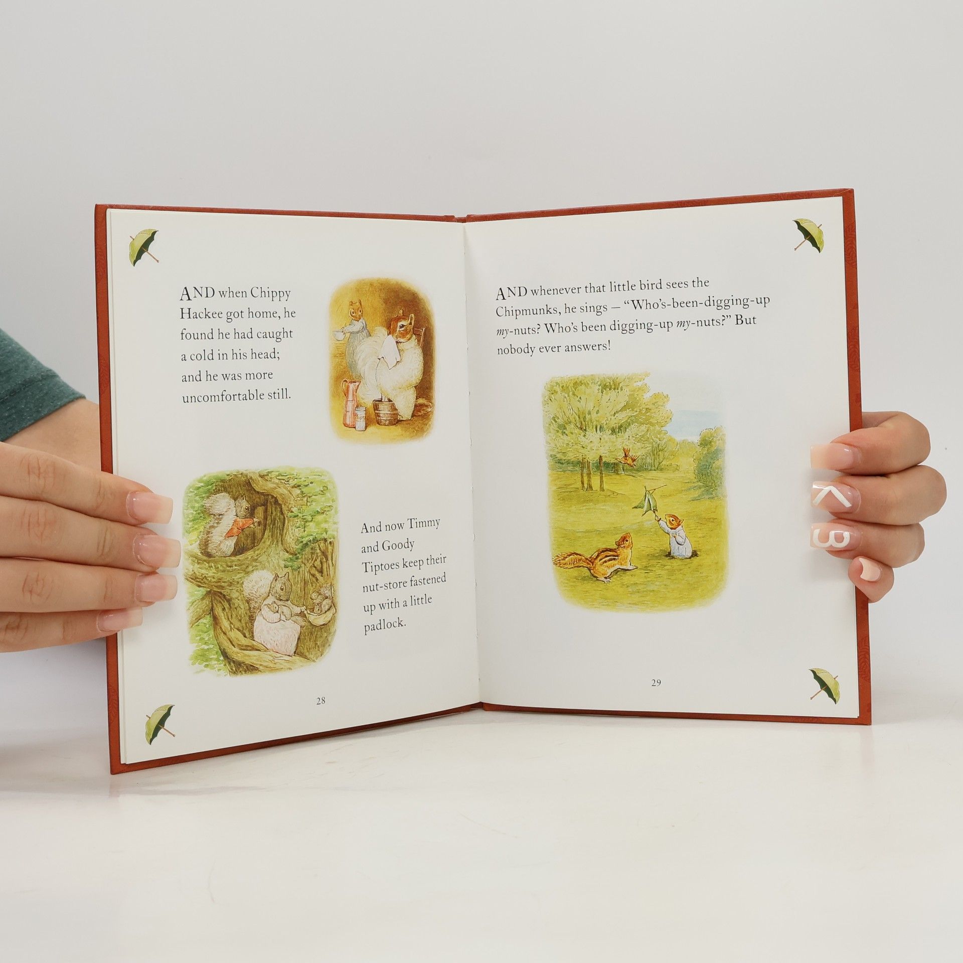 Beatrix Potter The Tale of Timmy Tiptoes 12