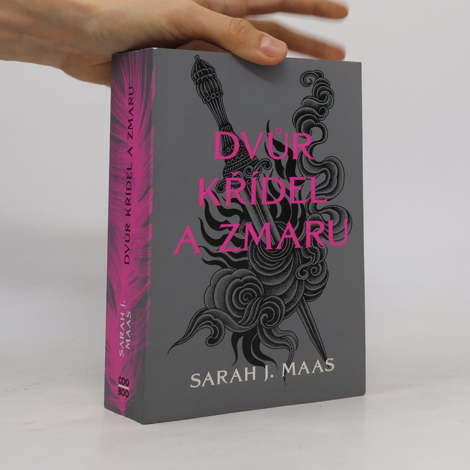 Sarah J. Maasová Dvůr křídel a zmaru