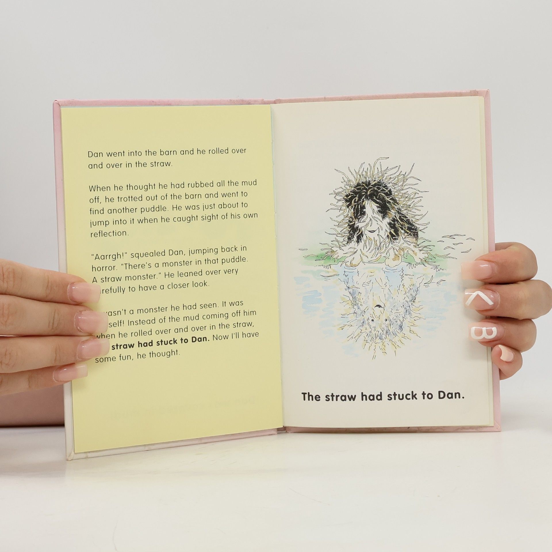 Barry Hill Ready For Reading - Dan And The Straw Monster