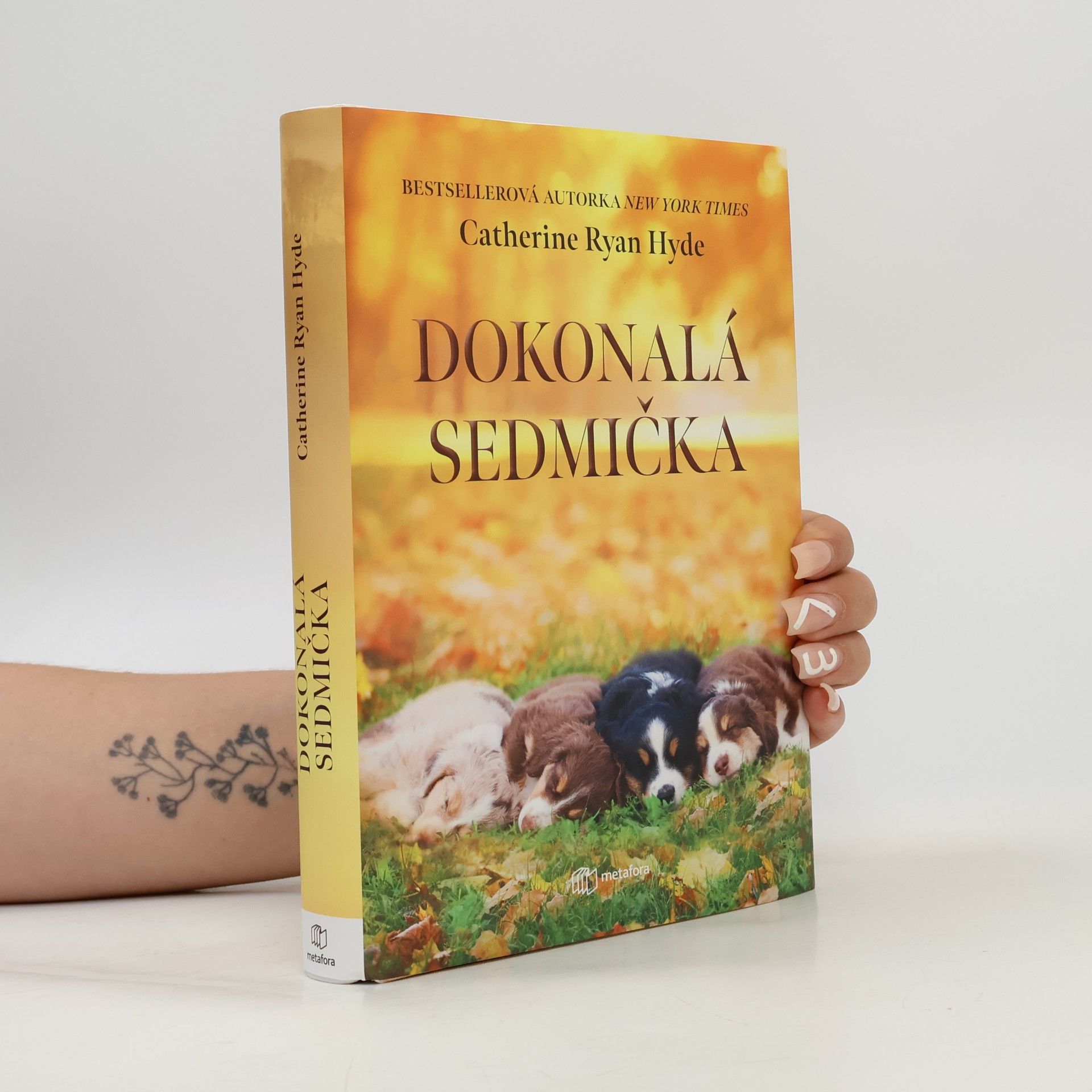 Catherine Ryan Hyde Dokonalá sedmička