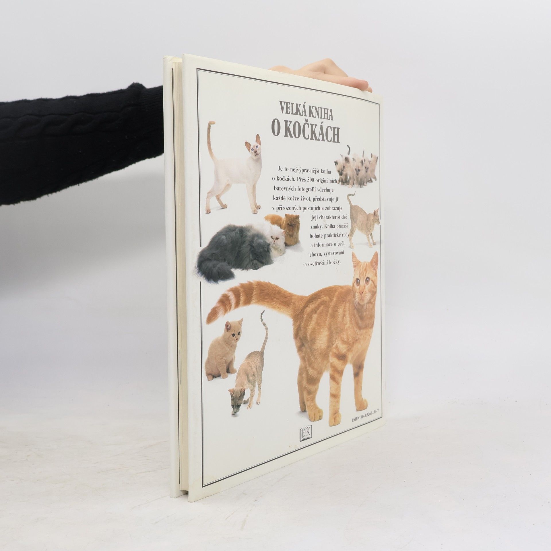 David Taylor Velká kniha o kočkách
