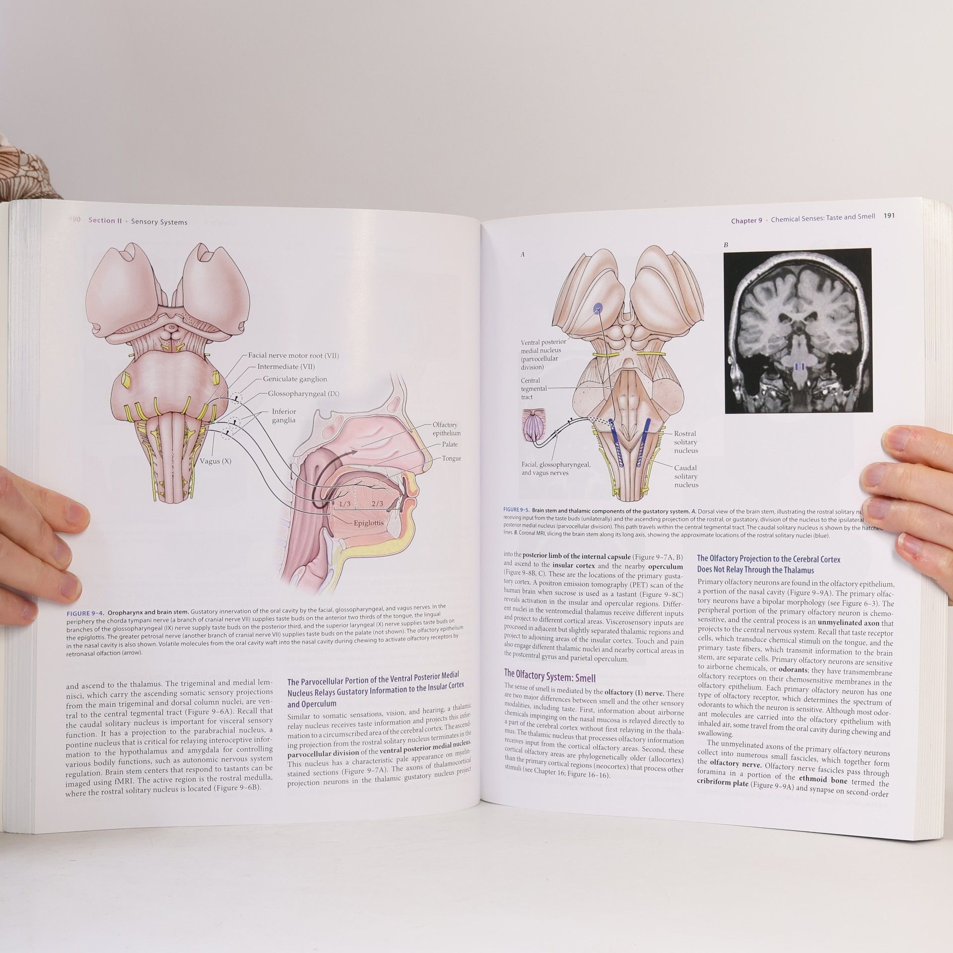 John H. Martin Neuroanatomy Text and Atlas, Fifth Edition