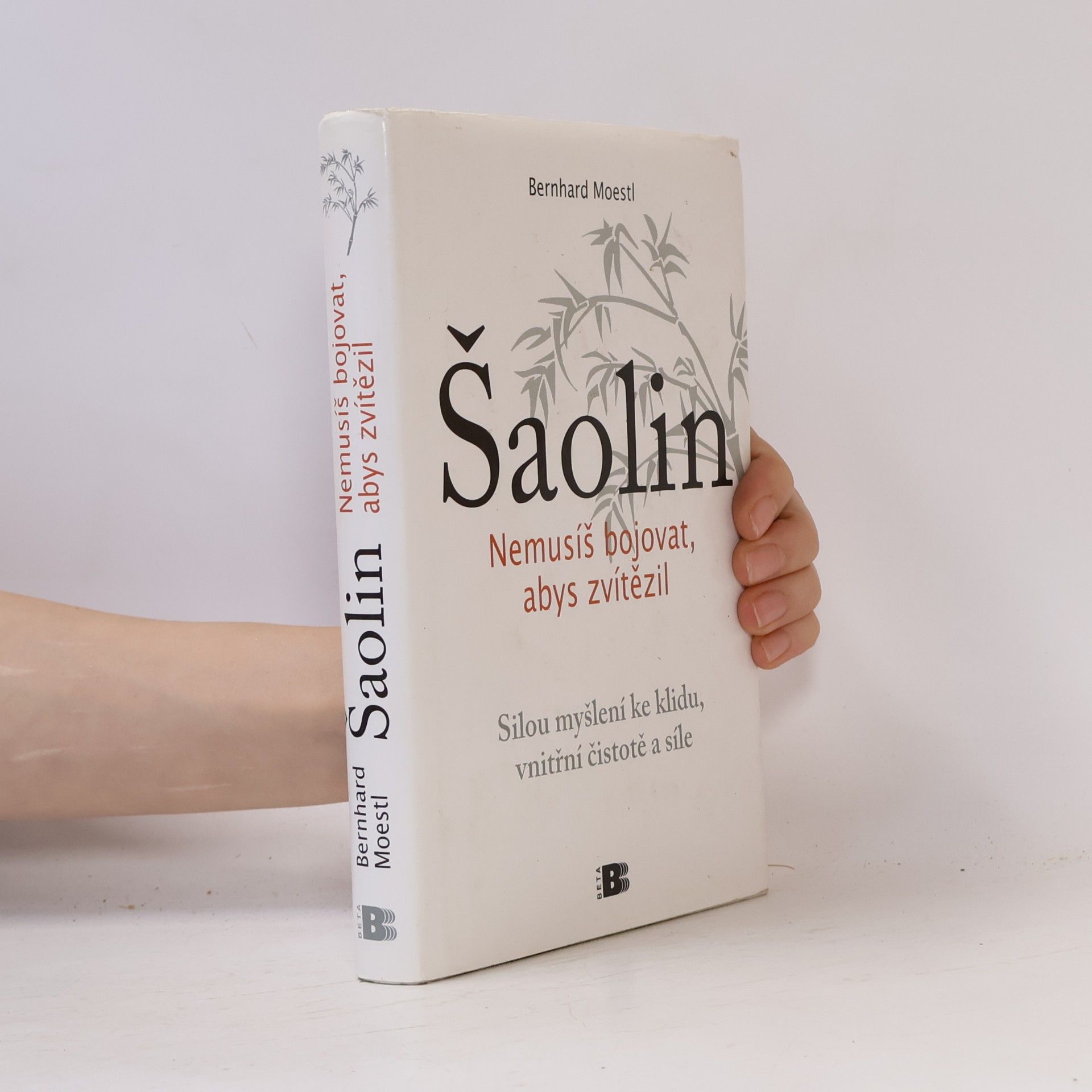 Bernhard Moestl Šaolin: Nemusíš bojovat, abys zvítězil