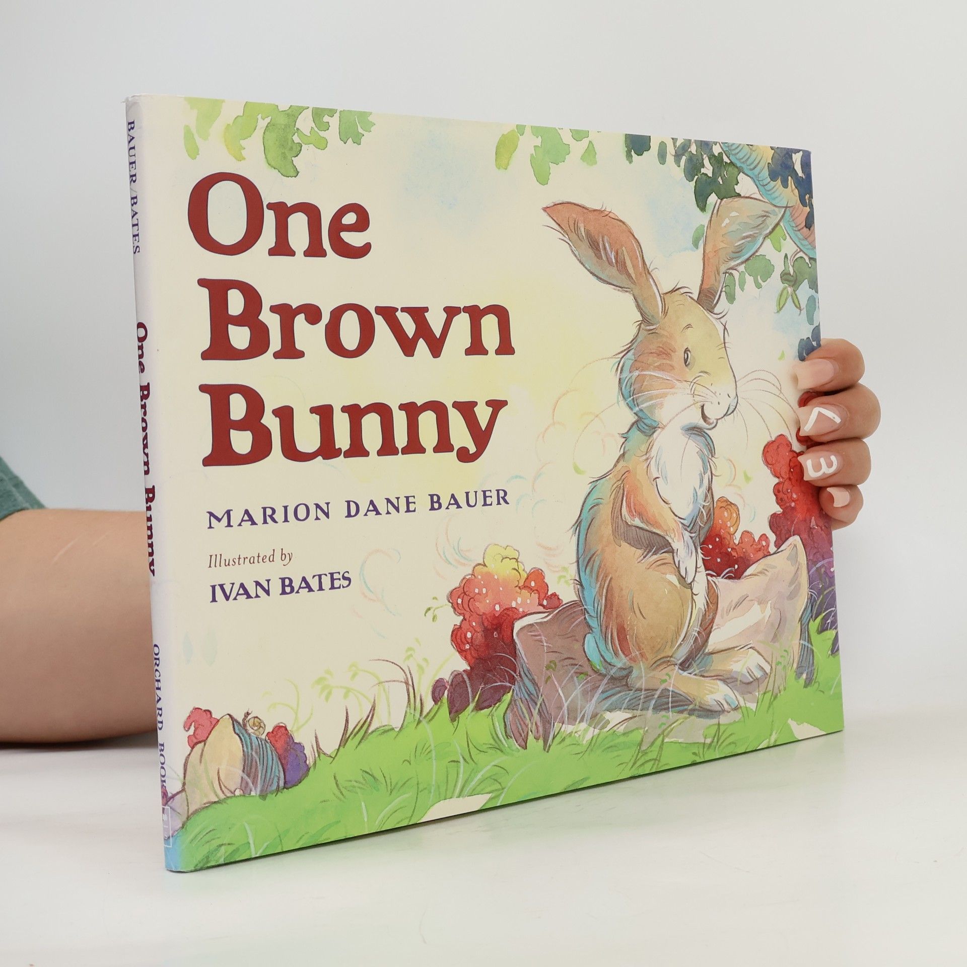 One Brown Bunny