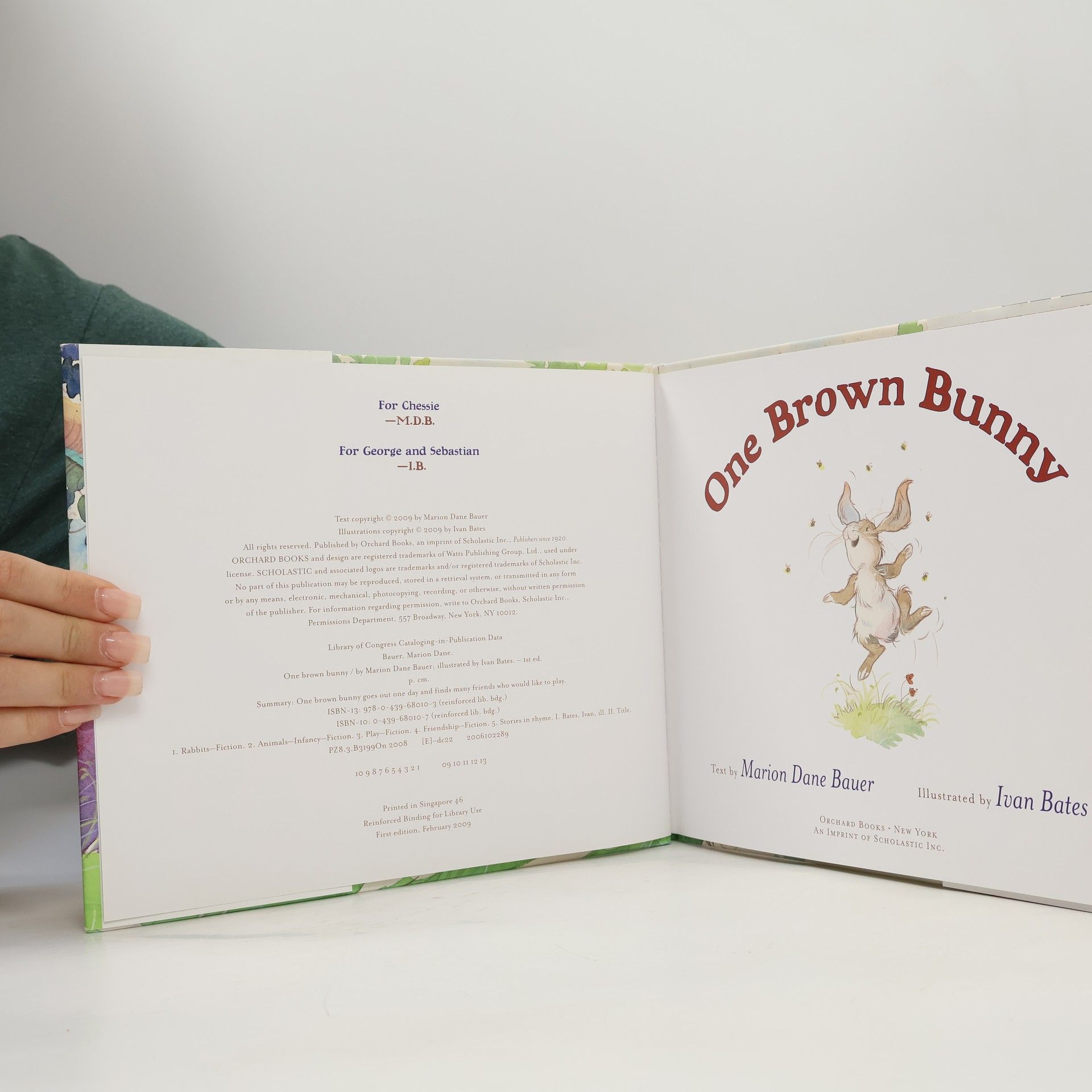Marion Dane Bauer One Brown Bunny