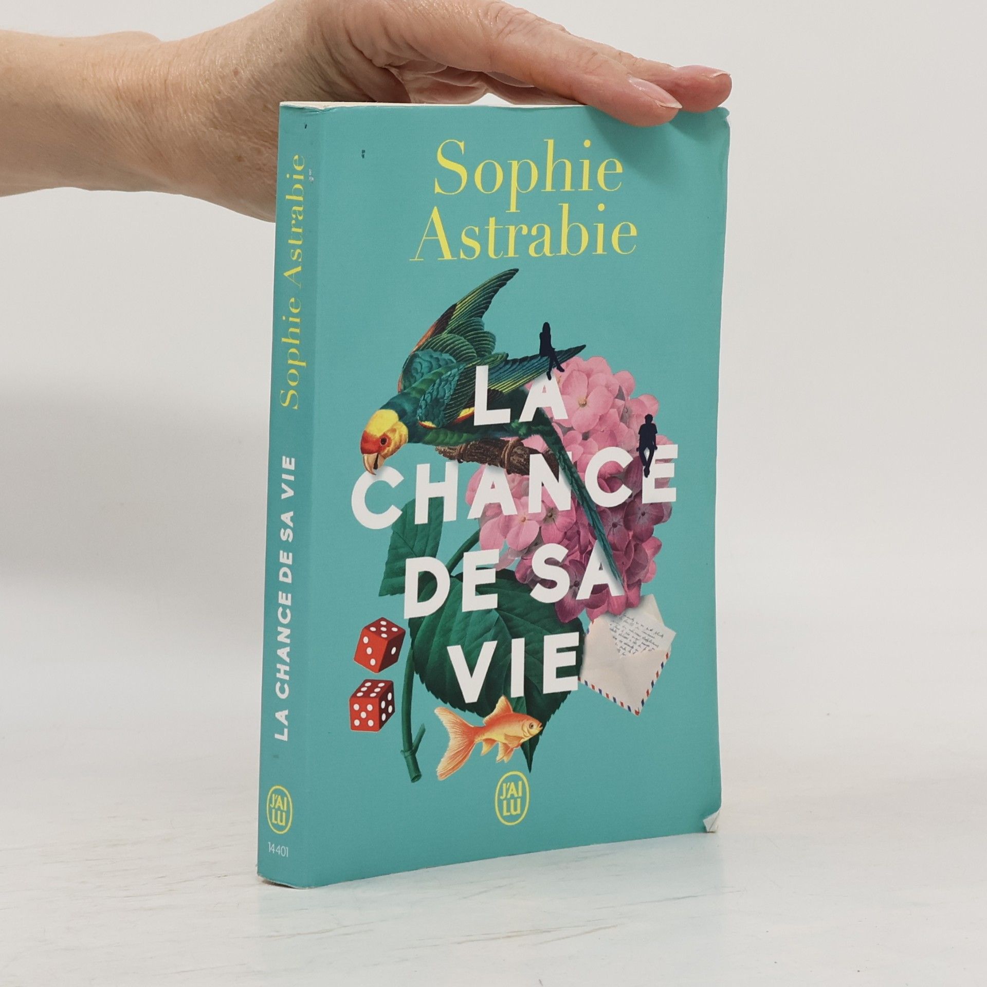 Astrabie Sophie La chance de sa vie