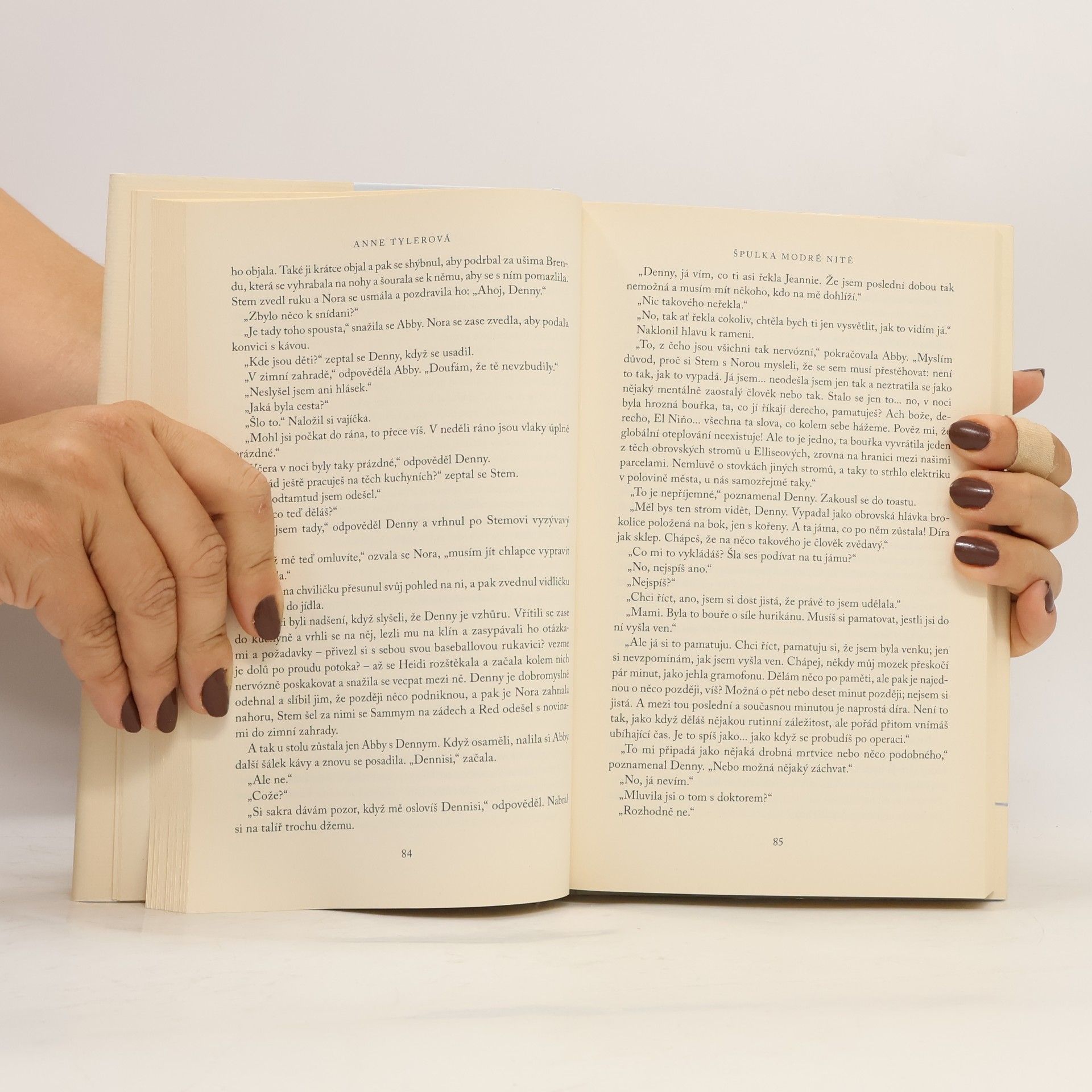 Anne Tyler Špulka modré nitě