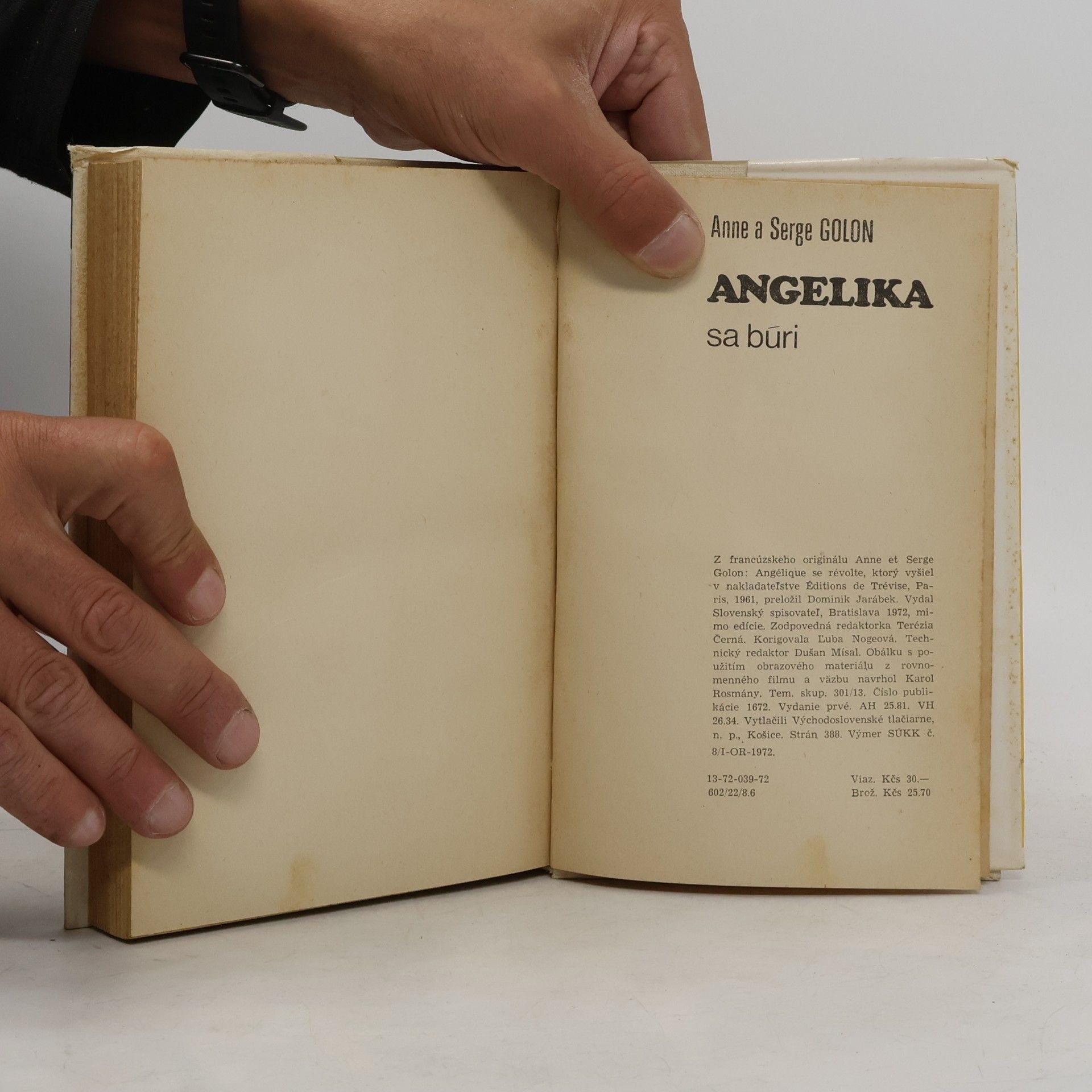 Anne Golon Angelika se búri
