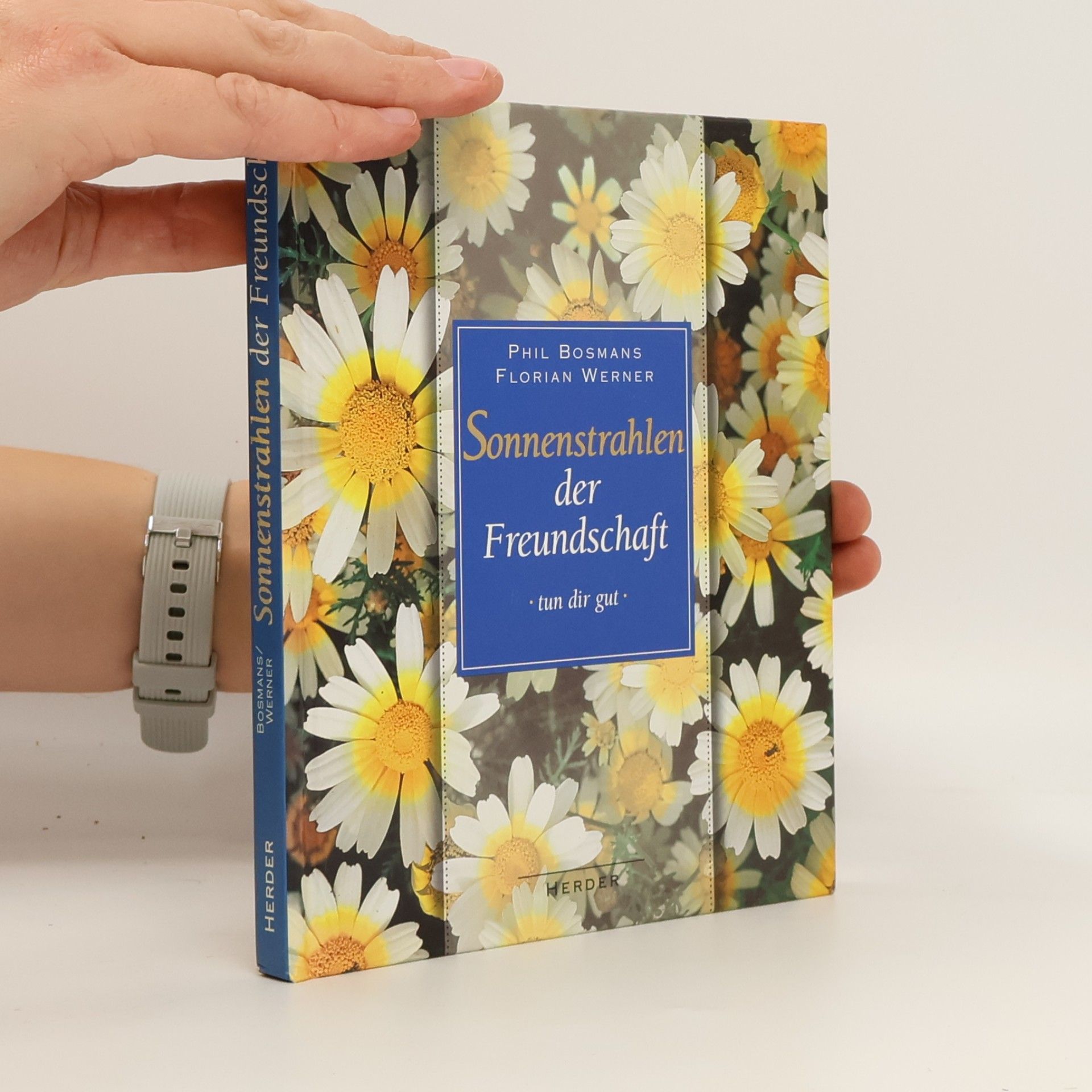 Phil Bosmans Sonnenstrahlen der Freundschaft tun dir gut