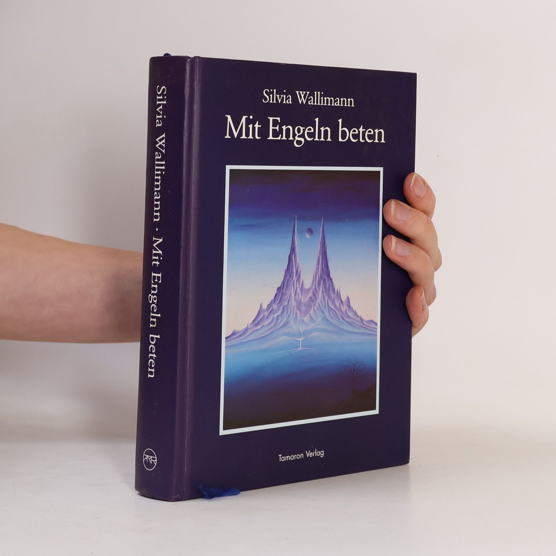 Silvia Wallimann Mit Engeln beten