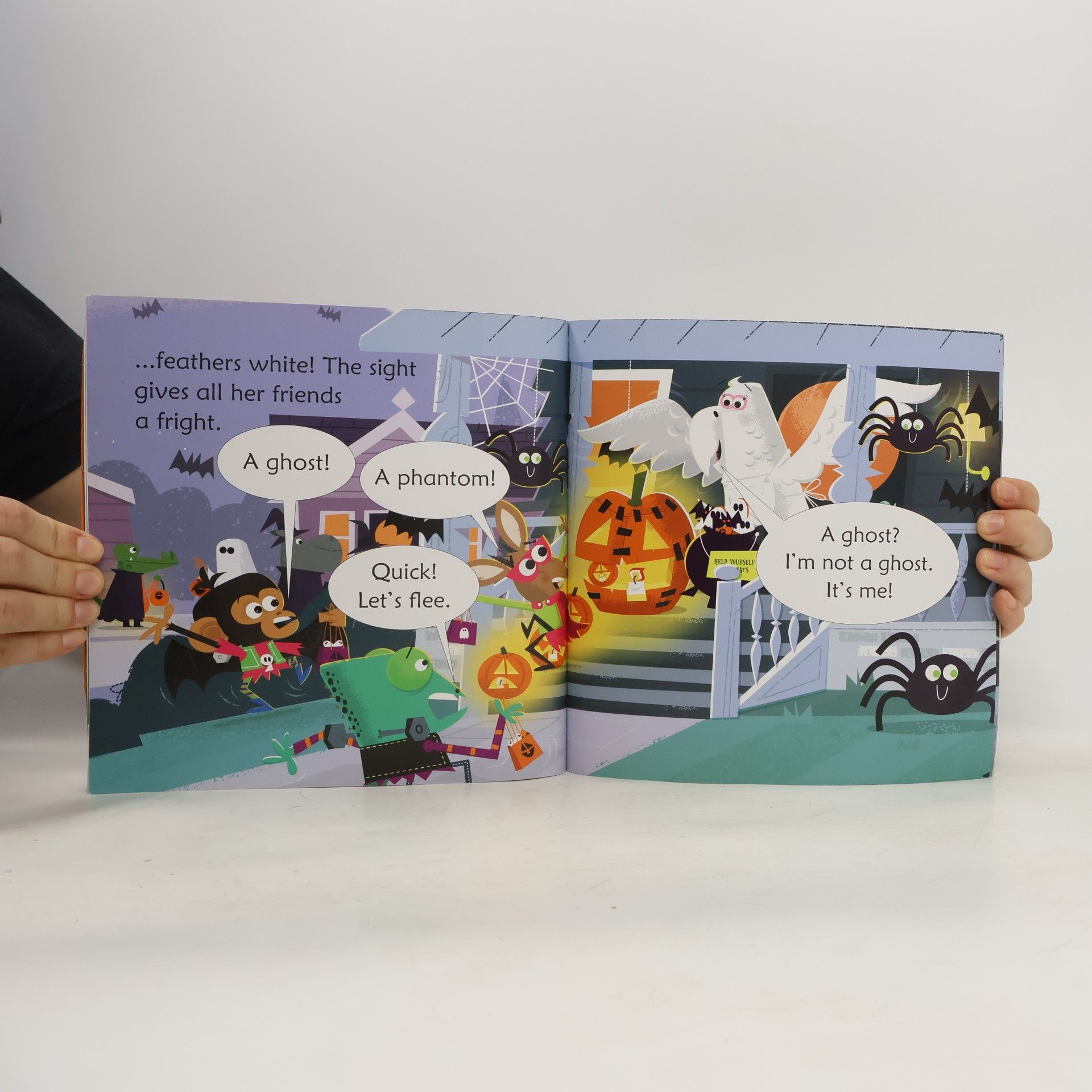 Lesley Sims Usborne Phonics Readers - 1: Trick or Treat, Parakeet?