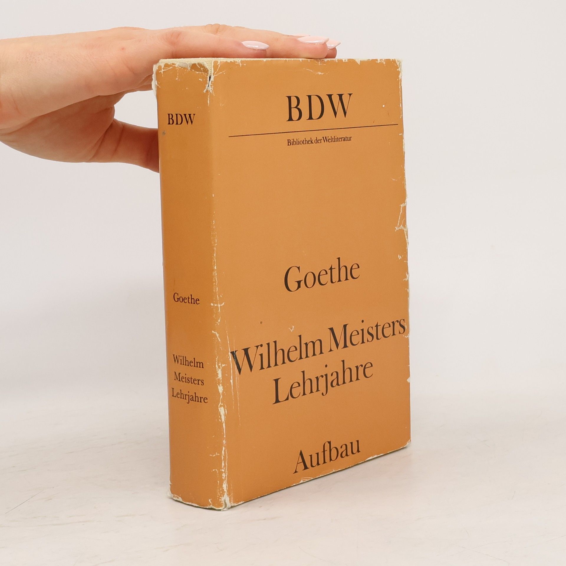 Johann Wolfgang von Goethe Wilhelm Meisters Lehrjahre