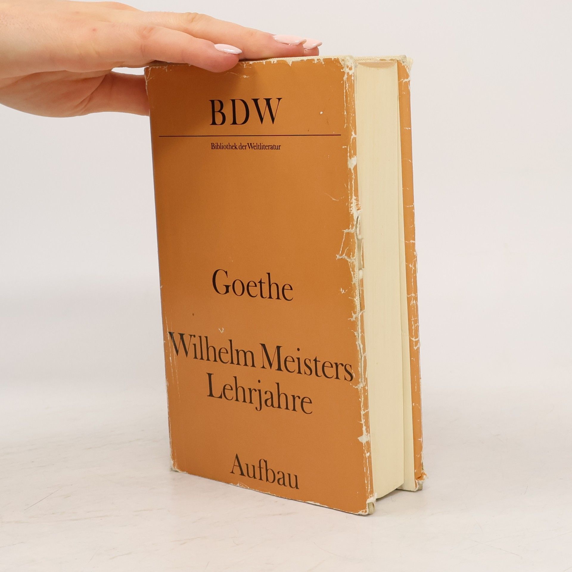 Johann Wolfgang von Goethe Wilhelm Meisters Lehrjahre