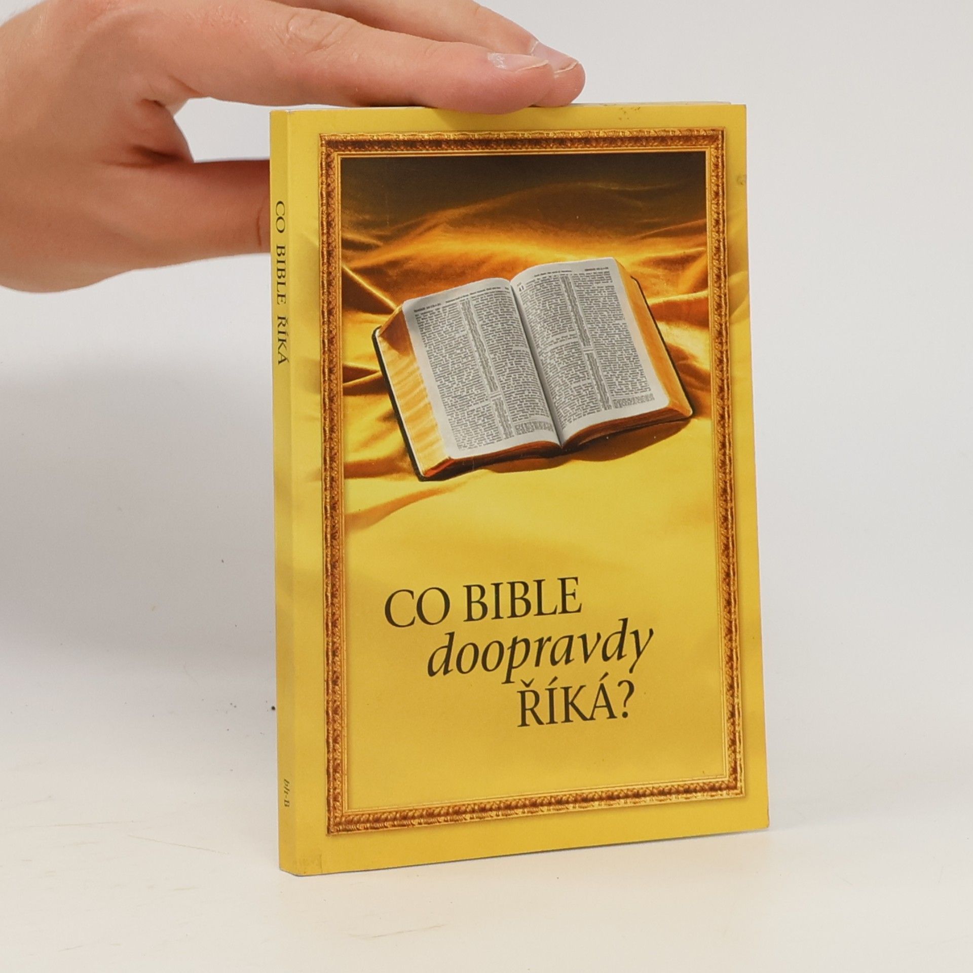 Auteurscollectief Co Bible doopravdy říká?