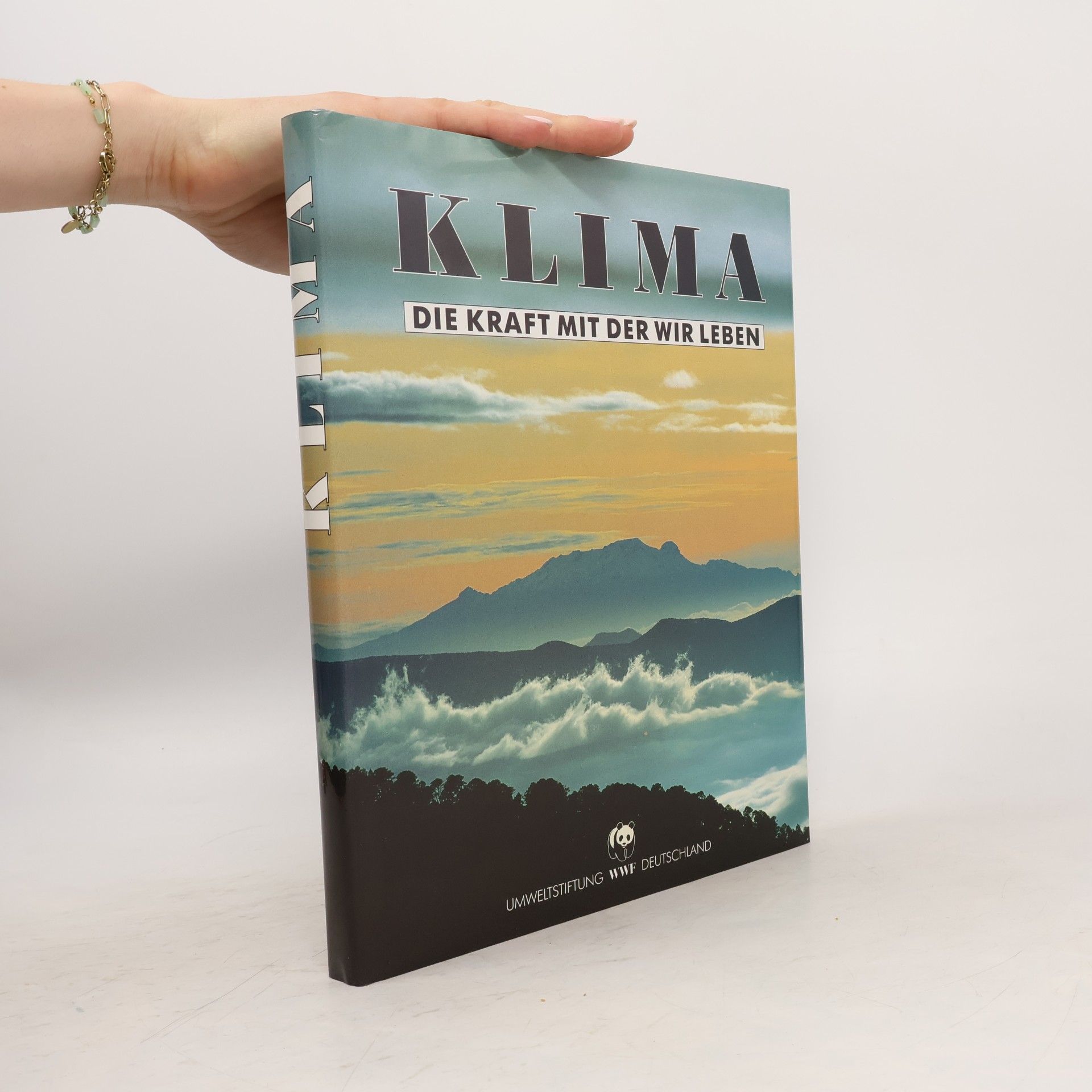 Andreas Giger Klima. Die Kraft mit der wir leben