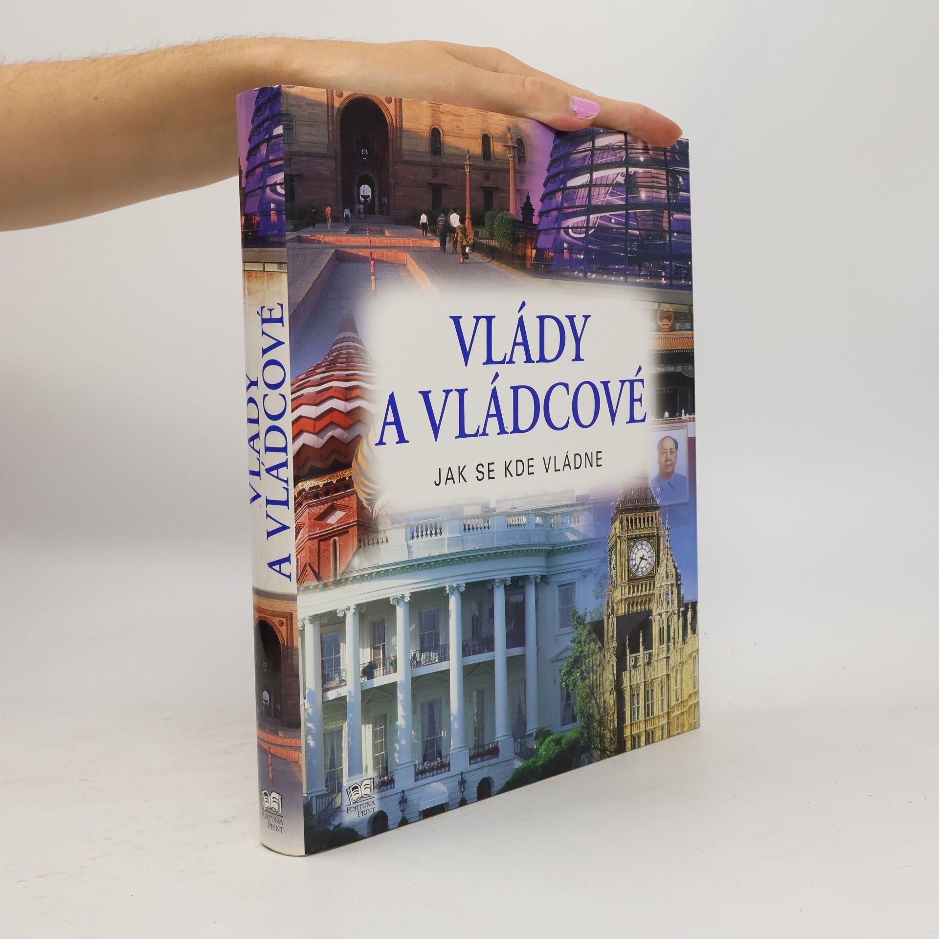 Autorenkollektiv Vlády a vládcové. Jak se kde vládne